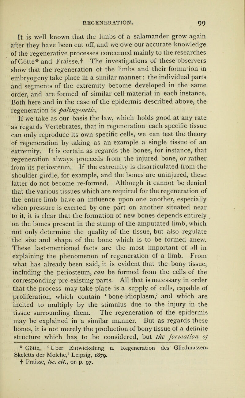 REGENERATION. 99 It is well known that the limbs of a salamander grow again after they have been cut off, and we owe our accurate knowledge of the regenerative processes concerned mainly to the researches of Gotte* and Fraisse.t The investigations of these observers show that the regeneration of the limbs and their forma'ion in embryogeny take place in a similar manner : the individual parts and segments of the extremity become developed in the same order, and are formed of similar cell-material in each instance. Both here and in the case of the epidermis described above, the regeneration is palingenetic. If we take as our basis the law, which holds good at any rate as regards Vertebrates, that in regeneration each specific tissue can only reproduce its own specific cells, we can test the theory of regeneration by taking as an example a single tissue of an extremity. It is certain as regards the bones, for instance, that regeneration always proceeds from the injured bone, or rather from its periosteum. If the extremity is disarticulated from the shoulder-girdle, for example, and the bones are uninjured, these latter do not become re-formed. Although it cannot be denied that the various tissues which are required for the regeneration of the entire limb have an influence upon one another, especially when pressure is exerted by one part on another situated near to it, it is clear that the formation of new bones depends entirely on the bones present in the stump of the amputated limb, which not only determine the quality of the tissue, but also regulate the size and shape of the bone which is to be formed anew. These last-mentioned facts are the most important of h11 in explaining the phenomenon of regeneration of a limb. From what has already been said, it is evident that the bony tissue, including the periosteum, can be formed from the cells of the corresponding pre-existing parts. All that is necessary in order that the process may take place is a supply of celb, capable of proliferation, which contain ' bone-idioplasm,' and which are incited to multiply by the stimulus due to the injury in the tissue surrounding them. The regeneration of the epidermis may be explained in a similar manner. But as regards these bones, it is not merely the production of bony tissue of a definite structure which has to be considered, but the jormation oj * Gotte, ' Uber Eiitwickelung u. Regeneration des Gliedmassen- Skeletts der Molche,' Leipzig, 1879. t Fraisse, loc. cit., on p. 97.