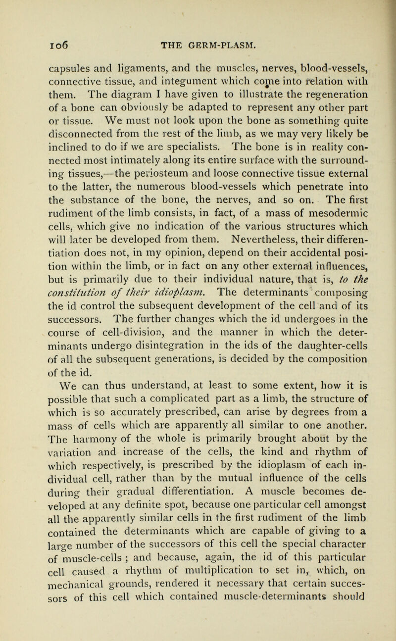 юб THE GERM-PLASM. capsules and ligaments, and the muscles, nerves, blood-vessels, connective tissue, and integument which cojne into relation with them. The diagram I have given to illustrate the regeneration of a bone can obviously be adapted to represent any other part or tissue. We must not look upon the bone as something quite disconnected from the rest of the limb, as we may very likely be inclined to do if we are specialists. The bone is in reality con¬ nected most intimately along its entire surface with the surround¬ ing tissues,—the periosteum and loose connective tissue external to the latter, the numerous blood-vessels which penetrate into the substance of the bone, the nerves, and so on. The first rudiment of the limb consists, in fact, of a mass of mesodermic cells, which give no indication of the various structures which will later be developed from them. Nevertheless, their differen¬ tiation does not, in my opinion, depend on their accidental posi¬ tion within the limb, or in fact on any other external influences, but is primarily due to their individual nature, that is, to the constitution of their idioplasm. The determinants ' composing the id control the subsequent development of the cell and of its successors. The further changes which the id undergoes in the course of cell-division, and the manner in which the deter¬ minants undergo disintegration in the ids of the daughter-cells of all the subsequent generations, is decided by the composition of the id. We can thus understand, at least to some extent, how it is possible that such a complicated part as a limb, the structure of which is so accurately prescribed, can arise by degrees from a mass of cells which are apparently all similar to one another. The harmony of the whole is primarily brought about by the variation and increase of the cells, the kind and rhythm of which respectively, is prescribed by the idioplasm of each in¬ dividual cell, rather than by the mutual influence of the cells during their gradual differentiation. A muscle becomes de¬ veloped at any definite spot, because one particular cell amongst all the apparently similar cells in the first rudiment of the limb contained the determinants which are capable of giving to a large number of the successors of this cell the special character of muscle-cells ; and because, again, the id of this particular cell caused a rhythm of multiplication to set in, which, on mechanical grounds, rendered it necessary that certain succes¬ sors of this cell which contained muscle-determinants should
