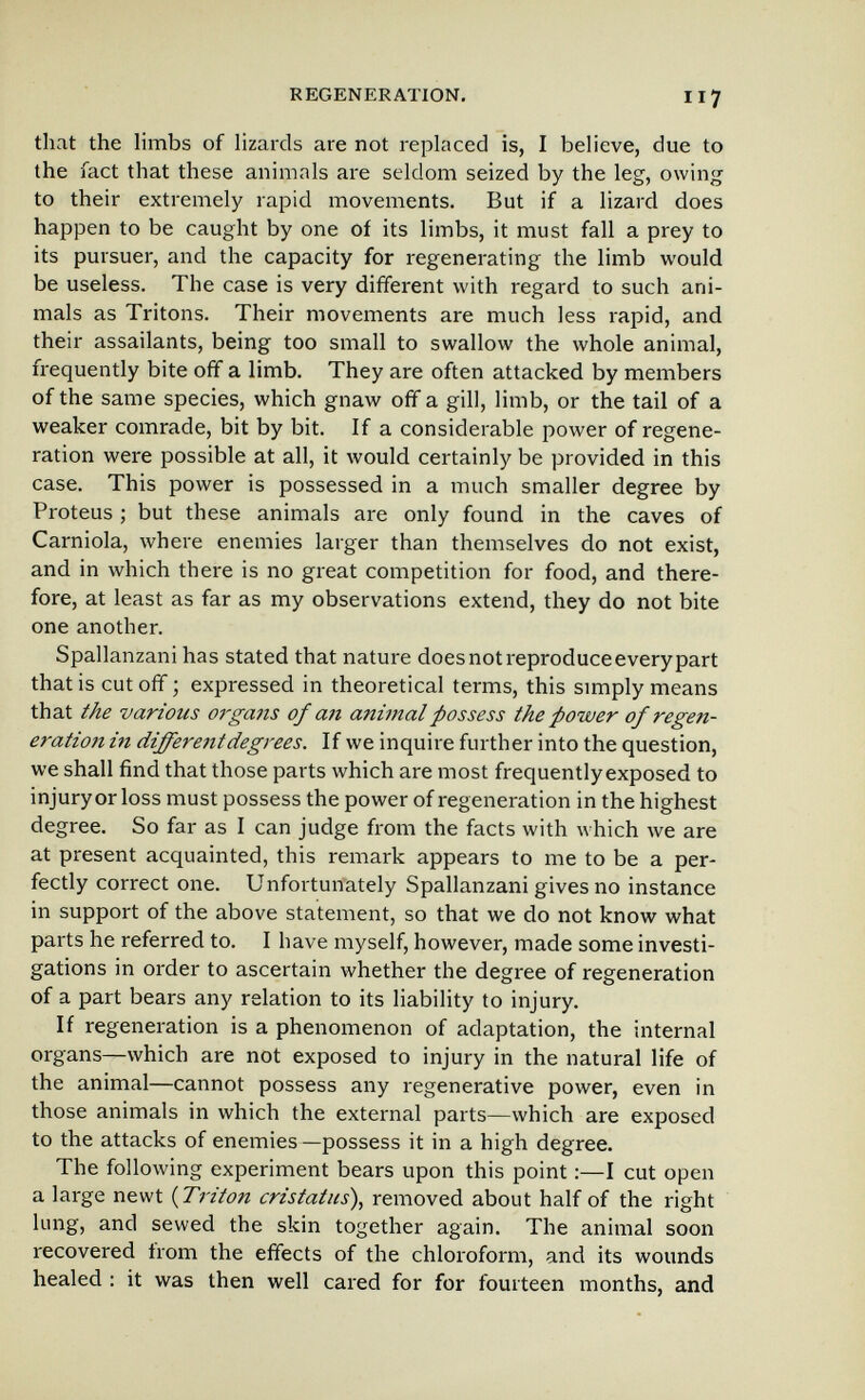 REGENERATION. 117 that the limbs of lizards are not replaced is, I believe, due to the fact that these animals are seldom seized by the leg, owing to their extremely rapid movements. But if a lizard does happen to be caught by one of its limbs, it must fall a prey to its pursuer, and the capacity for regenerating the limb would be useless. The case is very different with regard to such ani¬ mals as Tritons. Their movements are much less rapid, and their assailants, being too small to swallow the whole animal, frequently bite off a limb. They are often attacked by members of the same species, which gnaw off a gill, limb, or the tail of a weaker comrade, bit by bit. If a considerable power of regene¬ ration were possible at all, it would certainly be provided in this case. This power is possessed in a much smaller degree by Proteus ; but these animals are only found in the caves of Carniola, where enemies larger than themselves do not exist, and in which there is no great competition for food, and there¬ fore, at least as far as my observations extend, they do not bite one another. Spallanzani has stated that nature does not reproduce every part that is cut off ; expressed in theoretical terms, this simply means that the various organs of an animal possess the power of regen¬ eration in different degrees. If we inquire further into the question, we shall find that those parts which are most frequently exposed to injury or loss must possess the power of regeneration in the highest degree. So far as I can judge from the facts with \\hich we are at present acquainted, this remark appears to me to be a per¬ fectly correct one. Unfortunately Spallanzani gives no instance in support of the above statement, so that we do not know what parts he referred to. I have myself, however, made some investi¬ gations in order to ascertain whether the degree of regeneration of a part bears any relation to its liability to injury. If regeneration is a phenomenon of adaptation, the internal organs—which are not exposed to injury in the natural life of the animal—cannot possess any regenerative power, even in those animals in which the external parts—which are exposed to the attacks of enemies—possess it in a high degree. The following experiment bears upon this point :—I cut open a large newt {Triton cristatus\ removed about half of the right lung, and sewed the skin together again. The animal soon recovered from the effects of the chloroform, and its wounds healed ; it was then well cared for for fourteen months, and