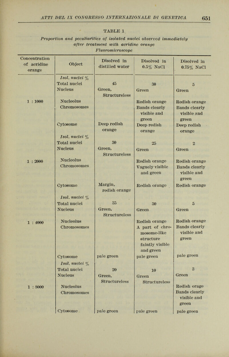 TABLE 1 Proportion and peculiarities of isolated nuclei observed immediately after treatment with acridine orange Fluoromicroscope Concentration Object Disolved in Disolved in Disolved in of acridine distilled water 0.5% NaCl 0.75% NaCl orange Isol. nuclei % Total nuclei 45 30 5 Nucleus Green, Green Green Structureless 1 : 1000 Nucleolus Redish orange Redish orange Chromosomes Bands clearly Bands clearly visible and visible and green green Cytosome Deep redish Deep redish Deep redish orange orange orange Isol. nuclei % Total nuclei 30 25 2 Nucleus Green, Green Green Structureless 1 : 2000 Nucleolus Redish orange Redish orange Chromosomes Vaguely visible Bands clearly and green visible and green Cytosome Margin, Redish orange Redish orange redish orange Isol. nuclei % Total nuclei 35 30 5 Nucleus Green, Green Green Structureless 1 : 4000 Nucleolus Redish orange Redish orange Chromosomes A part of chro Bands clearly mosome-like visible and structure green faintly visible and green Cytosome pale green pale green pale green Isol. mi elei % Total nuclei 20 10 3 Nucleus Green, Green Green Structureless Structureless 1 : S000 Nucleolus Redish orage Chromosomes Bands clearly visible and green Cytosome pale green pale green pale green