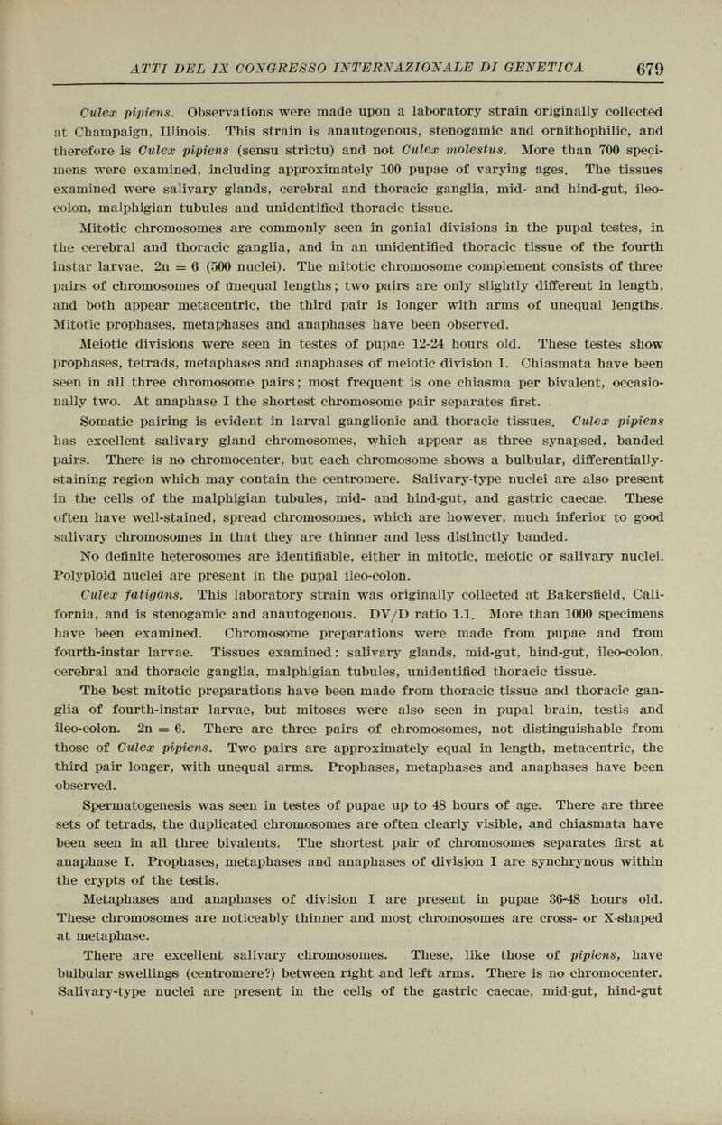 Culex pipiens. Observations were made upon a laboratory strain originally collected at Champaign, Illinois. This strain is anautogenous, stenogamic and ornithophilic, and therefore is Culex pipiens (sensu strictu) and not Culex molestus. More than 700 speci mens were examined, including approximately 100 pupae of varying ages. The tissues examined were salivary glands, cerebral and thoracic ganglia, mid- and hind-gut., ileo- colon, malphigian tubules and unidentified thoracic tissue. Mitotic chromosomes are commonly seen in gonial divisions in the pupal testes, in the cerebral and thoracic ganglia, and in an unidentified thoracic tissue of the fourth instar larvae. 2n = 6 (500 nuclei). The mitotic chromosome complement consists of three pairs of chromosomes of unequal lengths; two pairs are only slightly different in length, and both appear metacentric, the third pair is longer with arms of unequal lengths. Mitotic prophases, metaphases and anaphases have been observed. Meiotic divisions were seen in testes of pupae 12-24 hours old. These testes show prophases, tetrads, metaphases and anaphases of meiotic division I. Chiasmata have been seen in all three chromosome pairs ; most frequent is one chiasma per bivalent, occasio nally two. At anaphase I the shortest chromosome pair separates first. Somatic pairing is evident in larval ganglionic and thoracic tissues. Culex pipiens has excellent salivary gland chromosomes, which appear as three synapsed, banded pairs. There is no chromocenter, but each chromosome shows a bulbular, differentially- staining region which may contain the centromere. Salivary-type nuclei are also present in the cells of the malphigian tubules, mid- and hind-gut, and gastric caecae. These often have well-stained, spread chromosomes, which are however, much inferior to good salivary chromosomes in that they are thinner and less distinctly banded. No definite heterosomes are identifiable, either in mitotic, meiotic or salivary nuclei. Polyploid nuclei are present in the pupal ileo-colon. Culex fatigans. This laboratory strain was originally collected at Bakersfield, Cali fornia, and is stenogamic and anautogenous. DY/D ratio 1.1. More than 1000 specimens have been examined. Chromosome preparations were made from pupae and from fourth-instar larvae. Tissues examined : salivary glands, mid-gut, hind-gut, ileo-colon, cerebral and thoracic ganglia, malphigian tubules, unidentified thoracic tissue. The best mitotic preparations have been made from thoracic tissue and thoracic gan glia of fourth-instar larvae, but mitoses were also seen in pupal brain, testis and ileo-colon. 2n = 6. There are three pairs of chromosomes, not distinguishable from those of Culex pipiens. Two pairs are approximately equal in length, metacentric, the third pair longer, with unequal arms. Prophases, metaphases and anaphases have been observed. Spermatogenesis was seen in testes of pupae up to 48 hours of age. There are three sets of tetrads, the duplicated chromosomes are often clearly visible, and chiasmata have been seen in all three bivalents. The shortest pair of chromosomes separates first at anaphase I. Prophases, metaphases and anaphases of division I are synchrynous within the crypts of the testis. Metaphases and anaphases of division I are present in pupae 36-48 hours old. These chromosomes are noticeably thinner and most chromosomes are cross- or X-shaped at metaphase. There are excellent salivary chromosomes. These, like those of pipiens, have bulbular swellings (centromere?) between right and left arms. There is no chromocenter. Salivary-type nuclei are present in the cells of the gastric caecae, mid-gut, hind-gut