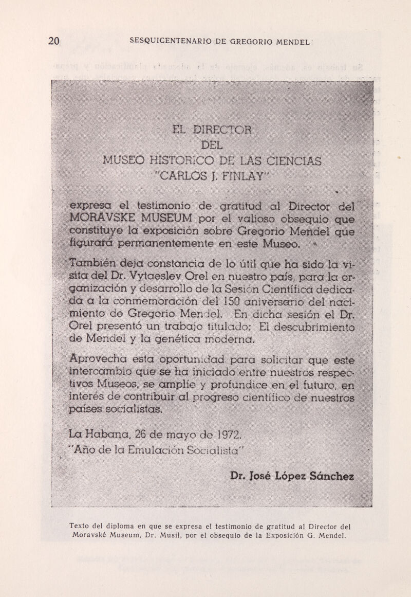 20 SESQUIGENTENARIO DE GREGORIO MENDEL EL DIRECT'OH ' DEL ' MUSEO HISTORICO 0E IAS CIENCIAS CARLOS î. rmiAT' expresa él testimonio de g^ratltud al Director éet\ MOHAVSKE MUSEÜM por el valioso obsequio сотШхув la exposición sobre Oregorio Mendel qye fiçurorâ permanentemente en este Museo. ^ ~ También deja constancia de lo útil que ha sido la vi- sito del Dr. Vytaeslev Orel on nuestro país, para la or- ganlmcíón y desarrollo de la Sesión Científica dedica^ - da a la conmemoración del 150 aniversario del nací- ; 'miento de Gregorio Men-~iei, En. dicha sesión el Dr. Orel presentó un trafoaio titulado: El descubrimiento de Mendel y la genética moderna. /'-Aprovecha esta oportunidad para solicitar que este %y, '' Intercambio que se ha iniciado entre nuestros respec- f ' tívos Museos, se amplíe y profundice en el futuro, en ■ interés de contribuir a! progreso científico de nuestros f:,' ^ises socialistas» !>-. La Habana, 26 de mayo do 1972 í ;, ''Año de la Emulación Socialista' Dr. losé López Sánchez Texto del diploma en que se expresa el testimonio de gratitud al Director del Moravské Museum, Dr. Musil, por el obsequio de la Exposición G. Mendel.