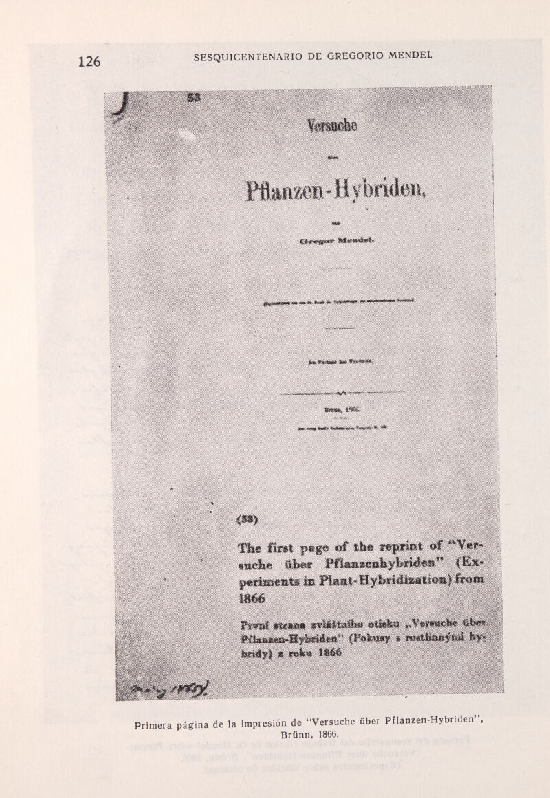 SESQUICENTENARIO DE GREGORIO MENDEL S3 ¥ш8еЬ Иашед-НжЬй(1ш1» I^IIU.«».« w Л» ». 1Ш> *> run «mi«« ш ч ч,»Л — - Ьтк t« jj(0¡ tiiii0 Miiíñ :WK m The iimt page of tbe r«|*yâï*t of **V«r* «nebí! über FHamäseabybiMea*'' (Ex* |»erimeiiU Ш FiaMHybrtdî»atÎ0») from 1Ш Frvsaí »fce*m &Фкш Öb«t- F£îa»»ea»Hyb«îdeia'' |F«ku«y ш rmúia.$i,fí^ bf* ' fenáyl X «йе« ÎM4 Primera página de la impresión de Versuche über Pflanzen-Hybriden, Brünn, 1866.