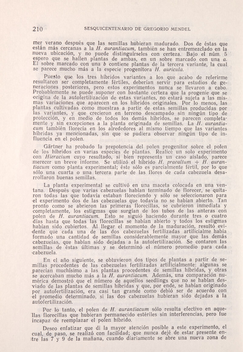 210 SESQUICENTENARIO DE GREGORIO MENDEL mer verano después que las semillas hubieran madurado. Dos de éstas que están más cercanas a la H. aurantiacum, también se han entremezclado en la nueva ubicación, y no puede distinguírseles con certeza. Bajo el núm. 5 espero que se hallen plantas de ambas, en un sobre marcado con una c. El sobre marcado con una b contiene plantas de la tercera variante, la cual se parece mucho más a la especie progenitora H. auricula. Puesto que los tres híbridos variantes a los que acabo de referirme resultaron ser completamente fértiles, deberían servir para estudios de ge¬ neraciones posteriores, pero estos experimentos nunca se llevaron a cabo. Probablemente se puede suponer con bastante certeza que la progenie que se ■origina de la autofertilización de estas variantes, no estará sujeta a las mis¬ mas variaciones que aparecen en los híbridos originales. Por lo menos, las plantas cultivadas como muestras a partir de estas semillas producidas por las variantes, y que crecieron en terreno descampado sin ningún tipo de protección, y en medio de todos los demás híbridos, se parecen completa¬ mente y sin excepciones a la planta originada de semillas. La H. aurantia¬ cum también florecía en los alrededores al mismo tiempo que las variantes híbridas ya mencionadas, sin que se pudiera observar ningún tipo de in¬ fluencia en el polen. Gärtner ha probado la prepotencia del polen progenitor sobre el polen de los híbridos en varias especies de plantas. Realicé un solo experimento con Hieracium cuyo resultado, si bien representa un caso aislado, parece merecer un breve informe. Se utilizó el híbrido H. praealtum + H. auran¬ tiacum como planta experimental; éste sólo es parcialmente fértil, por lo que sólo una cuarta o una tercera parte de las flores de cada cabezuela desa¬ rrollaron buenas semillas. La planta experimental se cultivó en una maceta colocada en una ven¬ tana. Después que varias cabezuelas habían terminado de florecer, se quita¬ ron todas las que todavía estaban floreciendo y sólo se seleccionaron para el experimento dos de las cabezuelas que todavía no se habían abierto. Tan pronto como se abrieron las primeras florecillas, se cubrieron inmediata y completamente, los estigmas que surgían de los tubos de las anteras con polen de H. aurantiacum. Esto se siguió haciendo durante tres o cuatro días hasta que todas las florecillas se habían abierto y todos los estigmas habían sido cubiertos. Al llegar el momento de la maduración, resultó evi¬ dente que cada una de las dos cabezuelas fertilizadas artificialme había formado una cantidad de semillas considerablemente mayor que las demás cabezuelas, que habían sido dejadas a la autofertilización. Se contaron las semillas de éstas últimas y se determinó el número promedio para cada •cabezuela. En el año siguiente, se obtuvieron dos tipos de plantas a partir de se¬ millas procedentes de las cabezuelas fertilizadas artificialmente: algunas se parecían muchísimo a las plantas procedentes de semillas híbridas, y^ otras se acercaban mucho más a la H. aurantiacum. Además, una comparación nu¬ mérica demostró que el número de aquellos seedlings que no se habían des¬ viado de las plantas de semillas híbridas y que, por ende, se habían originado por autofertilización, era casi tan grande como debió ser de acuerdo con el promedio determinado, si las dos cabezuelas hubieran sido dejadas a la autofertilización. Por lo tanto, el polen de H. aurantiacum sólo resulta efectivo en aque¬ llas florecillas que hubieran permanecido estériles sin interferencias, pero fue incapaz de reemplazar el polen híbrido. Deseo enfatizar que di la mayor atención posible a este experimento, el cual, de paso, se realizó con facilidad; que nunca dejé de estar presente en- ^tre las 7 y 9 de la mañana, cuando diariamente se abre una nueva zona de