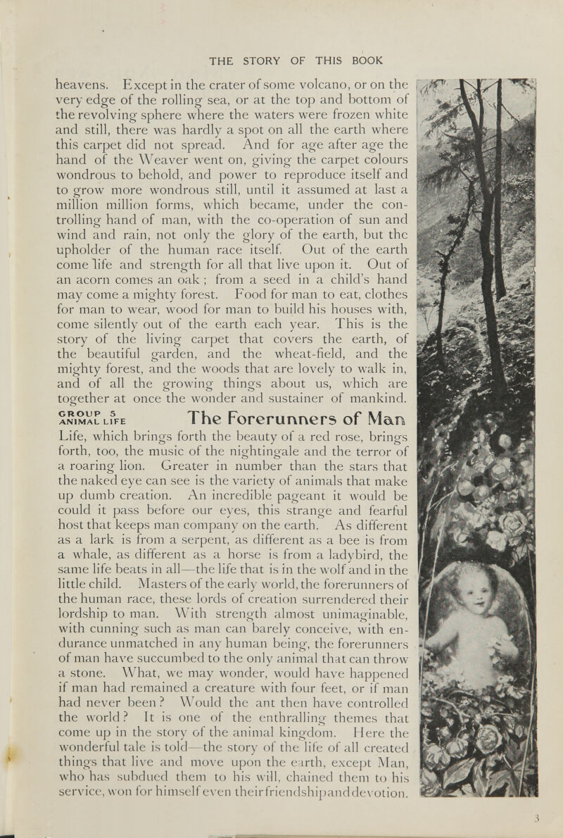 heavens. Except in the crater of some volcano, or on the very edge of the rolling sea, or at the top and bottom of the revolving sphere where the waters were frozen white and still, there was hardly a spot on all the earth where this carpet did not spread. And for age after age the hand of the Weaver went on, giving the carpet colours wondrous to behold, and power to reproduce itself and to grow more wondrous still, until it assumed at last a million million forms, which became, under the con trolling hand of man, with the co-operation of sun and wind and rain, not only the glory of the earth, but the upholder of the human race itself, Out of the earth come life and strength for all that live upon it. Out of an acorn comes an oak ; from a seed in a child’s hand may come a mighty forest. Food for man to eat, clothes for man to wear, wood for man to build his houses with, come silently out of the earth each year. This is the story of the living carpet that covers the earth, of the beautiful garden, and the wheat-field, and the mighty forest, and the woods that are lovely to walk in, and of all the growing things about us, which are together at once the wonder and sustainer of mankind. ANIMAL l ?fe The Forerunners of Man Life, which brings forth the beauty of a red rose, brings forth, too, the music of the nightingale and the terror of a roaring lion. Greater in number than the stars that the naked eye can see is the variety of animals that make up dumb creation. An incredible pageant it would be could it pass before our eyes, this strange and fearful host that keeps man company on the earth. As different as a lark is from a serpent, as different as a bee is from a whale, as different as a horse is from a ladybird, the same life beats in all—the life that is in the wolf and in the little child. Masters of the early world, the forerunners of the human race, these lords of creation surrendered their lordship to man. With strength almost unimaginable, with cunning such as man can barely conceive, with en durance unmatched in any human being, the forerunners of man have succumbed to the only animal that can throw a stone. What, we may wonder, would have happened if man had remained a creature with four feet, or if man had never been? Would the ant then have controlled the world? It is one of the enthralling themes that come up in the story of the animal kingdom. Here the wonderful tale is told—the story of the life of all created things that live and move upon the earth, except Man, who has subdued them to his will, chained them to his service, won for himself even theirfriendshipanddevotion.