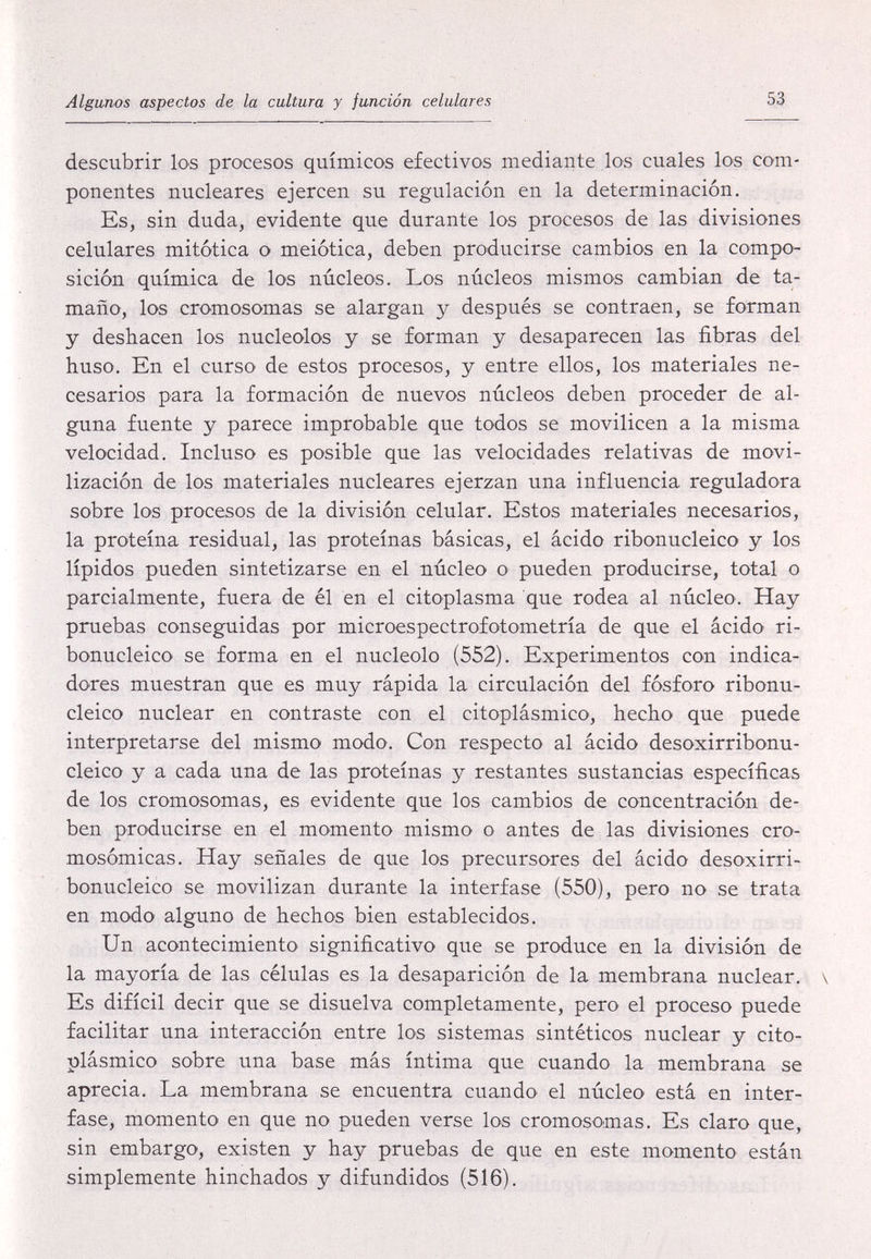 Algunos aspectos de la cultura y función celulares 53 descubrir loe procesos químicos efectivos mediante los cuales los com¬ ponentes nucleares ejercen su regulación en la determinación. Es, sin duda, evidente que durante los procesos de las divisiones celulares mitótica o meiótica, deben producirse cambios en la compo¬ sición química de los núcleos. Los núcleos mismos cambian de ta¬ maño, los cromosomas se alargan y después se contraen, se forman y deshacen los nucléolos y se forman y desaparecen las fibras del huso. En el curso de estos procesos, y entre ellos, los materiales ne¬ cesarios para la formación de nuevos núcleos deben proceder de al¬ guna fuente y parece improbable que todos se movilicen a la misma velocidad. Incluso es posible que las velocidades relativas de movi¬ lización de los materiales nucleares ejerzan una influencia reguladora sobre los procesos de la división celular. Estos materiales necesarios, la proteína residual, las proteínas básicas, el ácido ribonucleico y los lípidos pueden sintetizarse en el núcleo o pueden producirse, total o parcialmente, fuera de él en el citoplasma que rodea al núcleo. Hay pruebas conseguidas por microespectrofotometría de que el ácido ri¬ bonucleico se forma en el nucleolo (552). Experimentos con indica¬ dores muestran que es muy rápida la circulación del fósforo ribonu¬ cleico nuclear en contraste con el citoplásmico, hecho que puede interpretarse del mismo modo. Con respecto al ácido desoxirribonu- cleico y a cada una de las proteínas y restantes sustancias específicas de los cromosomas, es evidente que los cambios de concentración de¬ ben producirse en el momento mismo o antes de las divisiones cro- mosómicas. Hay señales de que los precursores del ácido desoxirri- bonucleico se movilizan durante la interfase (550), pero no se trata en modo alguno de hechos bien establecidos. Un acontecimiento significativo que se produce en la división de la mayoría de las células es la desaparición de la membrana nuclear. \ Es difícil decir que se disuelva completamente, pero el proceso puede facilitar una interacción entre los sistemas sintéticos nuclear y cito¬ plásmico sobre una base más íntima que cuando la membrana se aprecia. La membrana se encuentra cuando el núcleo está en inter¬ fase, momento en que no pueden verse los cromosomas. Es claro que, sin embargo, existen y hay pruebas de que en este momento están simplemente hinchados y difundidos (516).