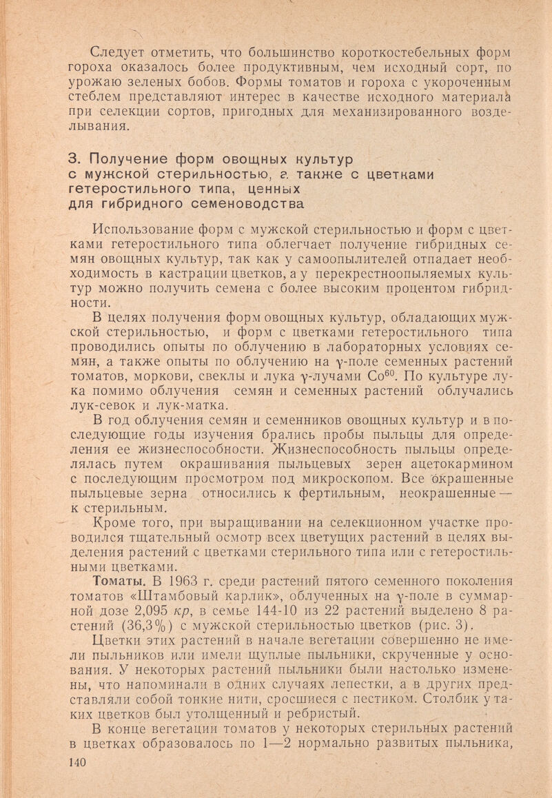 Следует отметить, что большинство короткостебельиых форм гороха оказалось более продуктивным, чем исходный сорт, по урожаю зеленых бобов. Формы томатов и гороха с укороченным стеблем представляют интерес в качестве исходного материал^ при селекции сортов, пригодных для механизированного возде¬ лывания. 3. Получение форм овощных культур с мужской стерильностью, г. также с цветками гетеростильного типа, ценных для гибридного семеноводства Использование форм с мужской стерильностью и форм с цвет¬ ками гетеростильного типа облегчает получение гибридных се¬ мян овощных культур, так как у самоопылителей отпадает необ¬ ходимость в кастрации цветков, а у перекрестноопыляемых куль¬ тур можно получить семена с более высоким процентом гибрид¬ но сти. В целях получения форм овощных культур, обладающих муж¬ ской стерильностью, и форм с цветками гетеростильного типа проводились опыты по облучению в лабораторных условиях се¬ мян, а также опыты по облучению на у-поле семенных растений томатов, моркови, свеклы и лука у-лучами Со®°. По культуре лу¬ ка помимо облучения семян и семенных растений облучались лук-севок и лук-матка. В год облучения семян и семенников овощных культур и в по¬ следующие годы изучения брались пробы пыльцы для опреде¬ ления ее жизнеспособности. Жизнеспособность пыльцы опреде¬ лялась путем окрашивания пыльцевых зерен ацетокармином с последующим просмотром под микроскопом. Все окрашенные пыльцевые зерна относились к фертильным, неокрашенные — к стерильным. Кроме того, при выращивании на селекционном участке про¬ водился тщательный осмотр всех цветущих растений в целях вы¬ деления растений с цветками стерильного типа или с гетеростиль- ными цветками. Томаты, В 1963 г. среди растений пятого семенного поколения томатов «Штамбовый карлик», облученных на у-поле в суммар¬ ной дозе 2,095 кр, в семье 144-10 из 22 растений выделено 8 ра¬ стений (36,3%) с мужской стерильностью цветков (рис. 3), Цветки этих растений в начале вегетации совершенно не име¬ ли пыльников или имели щуплые пыльники, скрученные у осно¬ вания. У некоторых растений пыльники были настолько измене¬ ны, что напоминали в одних случаях лепестки, а в других, пред-, ставляли собой тонкие нити, сросшиеся с пестиком. Столбик у та¬ ких цветков был утолщенный и ребристый. В конце вегетации томатов у некоторых стерильных растений в цветках образовалось по 1-—2 нормально развитых пыльника, 140