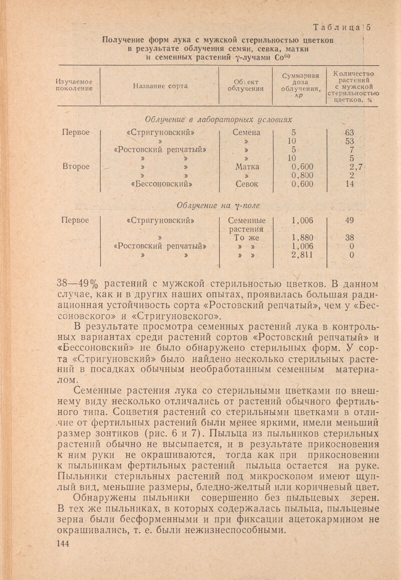 Таблица'5 Получение форм лука с мужской стерильностью цветков | в результате облучения семян, севка, матки | и семенных растений -у-лучами Со® 38—49% растений с мужской стерильностью цветков. В данном случае, как и в других наших опытах, проявилась большая ради¬ ационная устойчивость сорта «Ростовский репчатый», чем у «Бес- соносского» и «Стригуновского». В результате просмотра семенных растений лука в контроль¬ ных вариантах среди растений сортов «Ростовский репчатый» и «Бессоновский» не было обнаружено стерильных форм. У сор¬ та «СтригуновскБЙ» было найдено несколько стерильных расте¬ ний в посадках обычным необработанным семенным материа¬ лом. Семенные растения лука со стерильными цветками по внеш: нему виду несколько отличались от растений обычного фертиль- ного типа. Соцветия растений со стерильными цветками в отли- ■чие от фертильных растений были мрнее яркими, имели меньший размер зонтиков (рис. 6 и 7). Пыльца из пыльников стерильных растений обычно не высыпается, и в результате прикосновения к ним руки не окрашиваются, тогда как при прикосновении к пыльникам фертильных растений пыльца остается на руке. Пыльники стерильных растений под микроскопом имеют щуп¬ лый вид, меньшие размеры, бледно-желтый или коричневый цвет. Обнаружены пыльники совершенно без пыльцевых зерен. В тех же пыльниках, в которых содержалась пыльца, пыльцевые зерна были бесформенными и при фиксации ацетокармином не окрашивались, т. е. были нежизнеспособными. 144