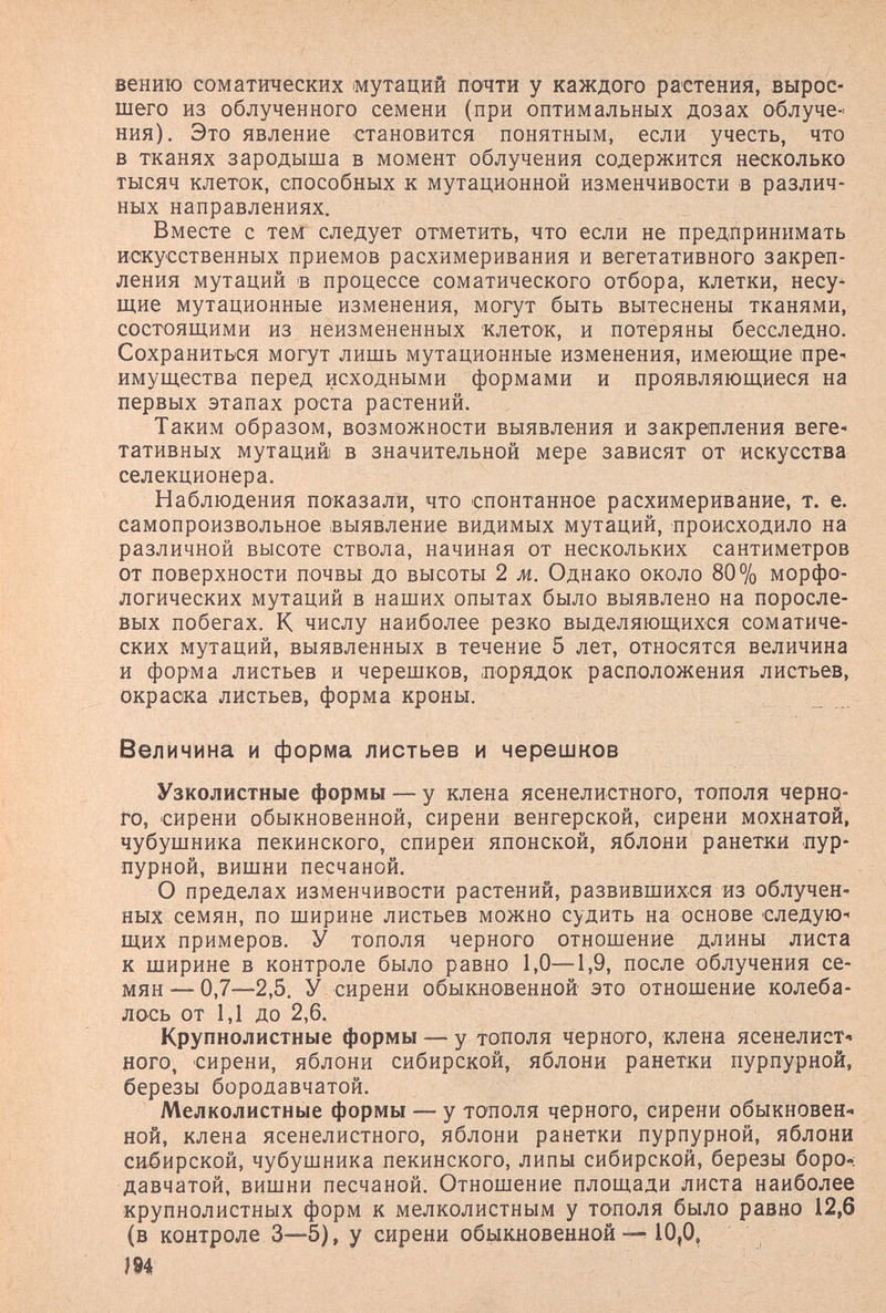вению соматических мутаций почти у каждого растения, вырос¬ шего из облученного семени (при оптимальных дозах облуче-' ния). Это явление становится понятным, если учесть, что в тканях зародыша в момент облучения содержится несколько тысяч клеток, способных к мутационной изменчивости в различ¬ ных направлениях. Вместе с тем следует отметить, что если не предпринимать искусственных приемов расхимеривания и вегетативного закреп¬ ления мутаций в процессе соматического отбора, клетки, несу¬ щие мутационные изменения, могут быть вытеснены тканями, состоящими из неизмененных клеток, и потеряны бесследно. Сохраниться могут лишь мутационные изменения, имеющие npe^ имущества перед исходными формами и проявляющиеся на первых этапах роста растений. Таким образом, возможности выявления и закрепления веге¬ тативных мутаций в значительной мере зависят от искусства селекционера. Наблюдения показали, что спонтанное расхимеривание, т. е. самопроизвольное выявление видимых мутаций, происходило на различной высоте ствола, начиная от нескольких сантиметров от поверхности почвы до высоты 2 м. Однако около 80% морфо¬ логических мутаций в наших опытах было выявлено на поросле¬ вых побегах. К числу наиболее резко выделяющихся соматиче¬ ских мутаций, выявленных в течение 5 лет, относятся величина и форма листьев и черешков, порядок расположения листьев, окраска листьев, форма кроны. Величина и форма листьев и черешков Узколистные формы — у клена ясенелистного, тополя черно¬ го, сирени обыкновенной, сирени венгерской, сирени мохнатой, чубушника пекинского, спиреи японской, яблони ранетки пур¬ пурной, вишни песчаной. О пределах изменчивости растений, развившихся из облучен- ных семян, по ширине листьев можно судить на основе следую¬ щих примеров. У тополя черного отношение длины листа к ширине в контроле было равно 1,0—1,9, после облучения се¬ мян — 0,7—2,5. У сирени обыкновенной это отношение колеба¬ лось от 1,1 до 2,6. Крупнолистные формы — у тополя черного, клена ясенелист¬ ного, сирени, яблони сибирской, яблони ранетки пурпурной, березы бородавчатой. Мелколистные формы — у тополя черного, сирени обыкновен-» ной, клена ясенелистного, яблони ранетки пурпурной, яблони сибирской, чубушника пекинского, липы сибирской, березы боро-: давчатой, вишни песчаной. Отношение площади листа наиболее крупнолистных форм к мелколистным у тополя было равно 12,6 (в контроле 3—5), у сирени обыкновенной—^10,0, Í94