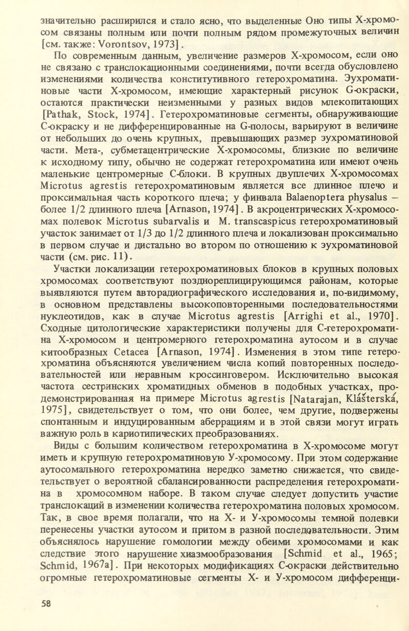 значительно расширился и стало ясно, что выделенные Оно типы Х-хромо- сом связаны полным или почти полным рядом промежуточных величин [см. также: Vorontsov, 1973]. По современным данным, увеличение размеров Х-хромосом, если оно не связано с транслокационными соединениями, почти всегда обусловлено изменениями количества конститутивного гетерохроматина. Эухромати- новые части Х-хромосом, имеющие характерный рисунок Сюкраски, остаются практически неизменными у разных видов млекопитающих [Pathak, Stock, 1974]. Гетерохроматиновые сегменты, обнаруживающие Сюкраску и не дифференцированные на G-полосы, варьируют в величине от небольших до очень крупных, превышающих размер эухроматиновой части. Мета-, субметацентрические Х-хромосомы, близкие по величине к исходному типу, обычно не содержат гетерохроматина или имеют очень маленькие центромерные С-блоки. В крупных двуплечих Х-хромосомах Microtus agrestis гетерохроматиновым является все диинное плечо и проксимальная часть короткого плеча; у финвала Balaenoptera physalus — более 1/2 длинного плеча [Arnason, 1974]. В акроцентрических Х-хромосо- мах полевок Microtus subarvalis и M. transcaspicus гетерохроматиновый участок занимает от 1/3 до 1/2 длинного плеча и локализован проксимально в первом случае и дистально во втором по отношению к эухроматиновой части (см. рис. И). Участки локализации гетерохроматиновых блоков в крупных половых хромосомах соответствуют позднореплицирующимся районам, которые выявляются путем авторадиографического исследования и, по-видимому, в основном представлены высокоповторенными последовательностями нуклеотидов, как в случае Microtus agrestis [Arrighi et al., 1970]. Сходные цитологические характеристики получены для С-гетерохромати- на Х-хромосом и центромерного гетерохроматина аутосом и в случае китообразных Cetacea [Arnason, 1974]. Изменения в этом типе гетеро¬ хроматина объясняются увеличением числа копий повторенных последо¬ вательностей или неравным кроссинговером. Исключительно высокая частота сестринских хроматидных обменов в подобных участках, про¬ демонстрированная на примере Microtus agrestis [Natarajan, Klásterska, 1975], свидетельствует о том, что они более, чем другие, подвержены спонтанным и индуцированным аберрациям и в этой связи могут играть важную роль в кариотипических преобразованиях. Виды с больишм количеством гетерохроматина в Х-хромосоме могут иметь и крупную гетерохроматиновую У-хромосому. При этом содержание аутосомального гетерохроматина нередко заметно снижается, что свиде¬ тельствует о вероятной сбалансированности распределения гетерохромати¬ на в хромосомном наборе. В таком случае следует допустить участие транслокаций в изменении количества гетерохроматина половых хромосом. Так, в свое время полагали, что на Х- и У-хромосомы темной полевки перенесены участки аутосом и притом в разной последовательности. Этим объяснялось нарушение гомологии между обеими хромосомами и как следствие этого нарушение хиазмообразования [Schmid et al., 1965; Schmid, 1967а]. При некоторых модификациях С-окраски действительно огромные гетерохроматиновые сегменты Х- и У-хромосом дифференци- 58