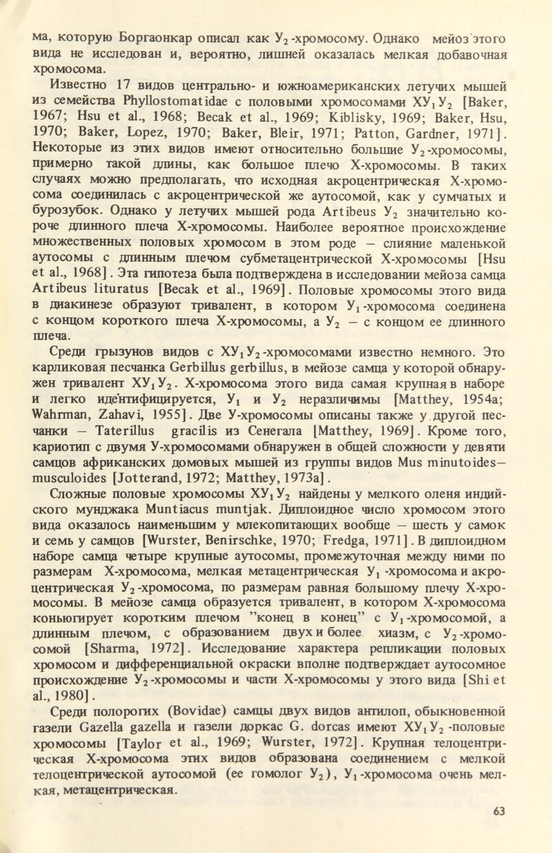 ма, которую Боргаонкар описал как Уз-хромосому. Однако мейоз этого вида не исследован и, вероятно, лишней оказалась мелкая добавочная хромосома. Известно 17 видов центрально- и южноамериканских летучих мышей из семейства Phyllostomatidae с половыми хромосомами ХУ1У2 [Baker, 1967; Hsu et al., 1968; Весак et al., 1969; Kiblisky, 1969; Baker, Hsu, 1970; Baker, Lopez, 1970; Baker, Bleir, 1971; Patton, Gardner, 1971]. Некоторые из этих видов имеют относительно большие У2-хромосомы, примерно такой длины, как большое плечо Х-хромосомы. В таких случаях можно предполагать, что исходная акроцентрическая Х-хромо- сома соединилась с акроцентрической же аутосомой, как у сумчатых и бурозубок. Однако у летучих мьпией рода Artibeus У2 значительно ко¬ роче дпинного плеча Х-хромосомы. Наиболее вероятное происхождение множественных половых хромосом в этом роде — слияше маленькой аутосомы с ддинным плечом субметацентрической Х-хромосомы [Hsu et al., 1968]. Эта гипотеза бьша подтверждена в исследовании мейоза самца Artibeus lituratus [Весак et al., 1969]. Половые хромосомы этого вида в диакинезе образуют тривалент, в котором У1-хромосома соединена с концом короткого плеча Х-хромосомы, а У2 — с концом ее длинного плеча. Среди грызунов видов с ХУ1У2-хромосомами известно немного. Это карликовая песчанка Gerbillus gerbülus, в мейозе самца у которой обнару¬ жен тривалент ХУ1У2. Х-хромосома этого вида самая крупная в наборе и легко идентифицируется. Ух и У^ неразличимы [Matthey, 1954а; Wahrman, Zahavi, 1955]. Две У-хромосомы описаны также у,другой пес¬ чанки — Taterillus gracilis из Сенегала [Matthey, 1969]. Кроме того, кариотип с двумя У-хромосомами обнаружен в общей сложности у девяти самцов африканских домовых мышей из группы видов Mus minutoides— musculoides [Jotterand, 1972; Matthey, 1973a]. Сложные половые хромосомы ХУ1У2 найдены у мелкого оленя индий¬ ского мунджака Muntiacus muntjak. Диплоидное число хромосом этого вида оказалось наименьшим у млекопитающих вообще — шесть у самок и семь у самцов [Wurster, Benirschke, 1970; Fredga, 1971]. В диплоидном наборе самца четыре крупные аутосомы, промежуточная между ними по размерам Х-хромосома, мелкая метацентрическая У1 -хромосома и акро¬ центрическая У2-хромосома, по размерам равная большому плечу Х-хро- мосомы. В мейозе самца образуется тривалент, в котором Х-хромосома коньюгирует коротким плечом конец в конец с Уi-хромосомой, а длинным плечом, с образованием двух и более хиазм, с У2 -хромо¬ сомой [Sharma, 1972]. Исследование характера репликации половых хромосом и дифференциальной окраски вполне подтверждает аутосомное происхождение У2-хромосомы и части Х-хромосомы у этого вида [Shi et al., 1980]. Среди полорогих (Bovidae) самцы двух видов антилоп, обыкновенной газели Gazella gazella и газели доркас G. dorcas имеют ХУ1У2 -половые хромосомы [Taylor et al., 1969; Wurster, 1972]. Крупная телоцентри- ческая Х-хромосома этих видов образована соединением с мелкой телоцентрической аутосомой (ее гомолог У2), Ух-хромосома очень мел¬ кая, метацентрическая. 63