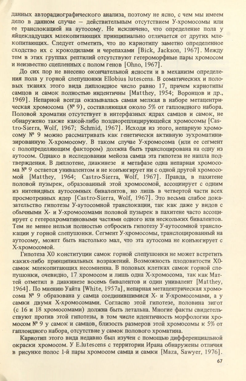 данных авторадиографического анализа, поэтому не ясно, с чем мы имеем дело в данном случае — действительным отсутствием У-хромосомы или ее транслокацией на аутосому. Не исключено, что определение пола у яйцекладущих млекопитающих принципиально отличается от других мле¬ копитающих. Следует отметить, что по кариотипу заметно определенное сходство их с крокодилами и черепахами [Bick, Jackson, 1967]. Между тем в этих группах рептилий отсутствуют гетероморфные пары хромосом и неизвестно сцепленных с полом генов [Ohno, 1967]. До сих пор не внесено окончательной ясности и в механизм определе¬ ния пола у горной слепушонки Ellobius lutescens. В соматических и поло¬ вых тканях этого вида диплоидное число равно 17, причем кариотипы самцов и самок полностью индентичны [Matthey, 1954; Воронцов и др., 1969]. Непарной всегда оказьшалась самая мелкая в наборе метацентри- ческая хромосома (№ 9), составляющая около 5% от гаплоидного набора. Половой хроматин отсутствует в интерфазных ядрах самцов и самок, не обнаружено также какой-либо позднореплицирующейся хромосомы [Cas¬ tro-Sierra, Wolf, 1967; Schmid, 1967]. Исходя из этого, непарную хромо¬ сому № 9 можно рассматривать как генетически активную эухроматини- зированную Х-хромосому. В таком случае У-хромосома (или ее сегмент с полопределяющим фактором) должна быть транслоцирована на одну из аутосом. Однако в исследовании мейоза самца эта гипотеза не нашла под¬ тверждения. В диплотене, диакинезе и метафазе одна непарная хромосо¬ ма № 9 остается унивалентом и не конъюгирует ни с одной другой хромосо¬ мой [Matthey, 1964; Castro-Sierra, Wolf, 1967]. Правда, в пахитене половой пузырек, образованный этой хромосомой, ассоциирует с одним из нитевидных аутосомных бивалентов, но лишь в четвертой части всех просмотренных ядер [Castro-Sierra, Wolf, 1967]. Это весьма слабое дока¬ зательство гипотезы У-аутосомной транслокации, так как даже у видов с обьмными Х- и У-хромосомами половой пузырек в пахитене часто ассоци¬ ирует с гетерохроматиновьп^ш частями одного или нескольких бивалентов. Тем не менее нельзя полностью отбросить гипотезу У-аутосомной трансло¬ кации у горной слепушонки. Сегмент У-хромосомы, транслоцированный на аутосому, может быть настолько мал, что эта аутосома не конъюгирует с Х-хромосомой. Гипотеза ХО конституции самок горной слепушонки не может встретить каких-либо принципиальных возражений. Возможность плодовитости ХО- самок млекопитающих несомненна. В половых клетках самок горной сле¬ пушонки, очевидно, 17 хромосом и лишь одна Х-хромосома, так как Мат- тей отметил в диакинезе восемь бивалентов и один унивалент [Matthey, 1964]. По мнению Уайта [White, 1957а], непарная метацентрическая хромо¬ сома № 9 образована у самца соединившимися Х- и У-хромосомами, а у самки двумя Х-хромосомами. Согласно этой гипотезе, половина зигот (с 16 и 18 хромосомами) должна быть летальна. Многие факты свидетель¬ ствуют против этой гипотезы, в том числе идентичность морфологии хро¬ мосом N 9 у самок и самцов, близость размеров этой хромосомы к 5% от гаплоидного набора, отсутствие у самок полового хроматина. Кариотип этого вида недавно был изучен с помощью дифференциальной окраски хромосом. У Е.lutescens с территории Ирана обнаружены отличия в рисунке полос 1-й пары хромосом самца и самки [Maza, Sawyer, 1976]. 67