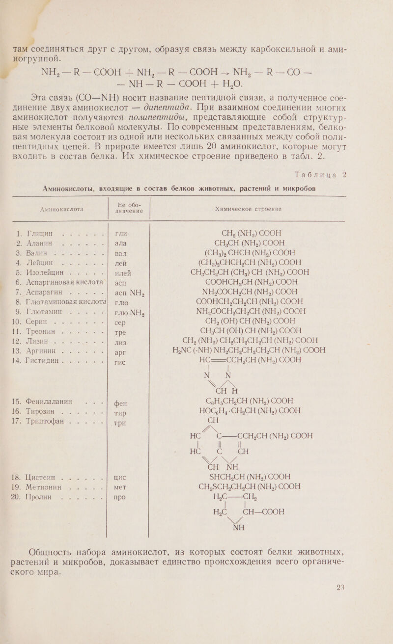 я там соединяться друг с другом, образуя связь между карбоксильной и ами- ногруппой. МЫ, — К — СООН -Е МН, К — СООН -. МЕ —- К —СО— — МН — В — СООН + Н.О. Эта связь (СО— МН) носит название пептидной связи, а полученное сое- динение двух аминокислот — дипептида. При взаимном соединении многих аминокислот получаются полипептиды, представляющие собой структур- ные элементы белковой молекулы. По современным представлениям, белко- вая молекула состоит из одной или нескольких связанных между собой поли- пептидных цепей. В природе имеется лишь 20 аминокислот, которые могут входить в состав белка. Их химическое строение приведено в табл. 2. столица 2 Аминокислоты, входящие в состав белков ЖИВОТНЫХ, растений И микробов Аминокислота то Химическое строение о ГЛИ СН, (МН.) СООН ЕН С ЕР ала СН.СН (МНь) СООН ПН ея. .| вал (СН.)&gt;. СНСН (МН) СООН ооо лей (СН) СНСН.СН (МН.ь) СООН 5. Изолейцин ..... илей СВ.СЕБСН(СНу СЕН СООН 6. Аспаргиновая кислота | асп СООНСН.СН (МНь) СООН Авар, ты асп МН. МН.СОСН.СН (МН.) СООН 8. Глютаминовая кислота| глю СООНСН.СН.СН (МН.ь) СООН 9. Глютамин о 5 МН.СОСН.СН.сСН (МНь) СООН О о + сер СН. (ОН) СН (МН.) СООН | о а тре СН.СН (ОН) СН (МН.) СООН ОО. и ИЗ СН. (МЕ) СВСВСН.СЕ МЕ СООН О м арг _ НьМС СМН) МН.СН.СН.СН.СН (МН,) СООН с о гие НОС СЕ А) соОН мм о СЫ _ 15. Фенилаланин ...| фен СССР СООН ВОО о... тир НОС;Н.-СН.СН (МН.) СООН 17. Триптофан .....| три СН _ © НС С——ССН.СН (МНь) СООН нс с в . _ СН. м ВР о. = ЦИС ЗНСН.СН (МН») СООН |. Метионин со. мет СН СВСВЬСЕКУЕ» СоОН о ев про Н.С СН нс сон Ва МН Общность набора аминокислот, из которых состоят белки животных, растений и микробов, доказывает единство происхождения всего органиче- ского мира. _.