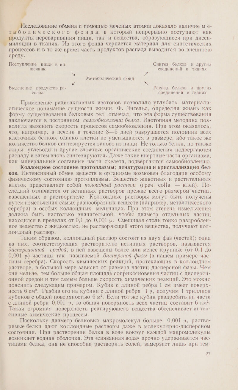 Исследование обмена с помощью меченых атомов доказало наличие м е- таболического фонда, в который непрерывно поступают как продукты переваривания пищи, так и вещества, образующиеся при дисси- процессов и в то же время часть продуктов распада выводится во внешнюю среду. Поступление пищи в ки- Синтез белков и других шечник соединений в тканях 2 Метаболический фонд Г Выделение продуктов ра- Распад белков и других спада соединений в тканях Применение радиоактивных изотопов позволило углубить материали- стическое понимание сущности жизни. Ф. Энгельс, определяя жизнь как форму существования белковых тел, отмечал, что эта форма существования заключается в постоянном самообновлении белка. Изотопная методика поз- волила выяснить скорость процессов самообновления. При этом оказалось, что, например, в печени в течение 3—5 дней разрушается половина всех клеточных белков, однако клетки не уменьшаются в размере, ибо такое же количество белков синтезируется заново из пищи. Не только белки, но также жиры, углеводы и другие сложные органические соединения подвергаются распаду и затем вновь синтезируются. Даже такие инертные части организма, как минеральные составные части скелета, подвергаются самообновлению. Коллоидное состояние протоплазмы; денатурация и кристаллизация бел- } физическому состоянию протоплазмы. Вещество животных и растительных клеток представляет собой коллоидный раствор (греч. соПа — клей). По- следний отличается от истинных растворов прежде всего размером частиц, взвешенных в растворителе. Коллоидные растворы могут быть получены путем измельчения самых разнообразных веществ (например, металлического серебра) в особых коллоидных мельницах. При этом степень измельчения должна быть настолько значительной, чтобы диаметр отдельных частиц находился в пределах от 0,1 до 0,001 в. Смешивая столь тонко раздроблен- ное вещество с жидкостью, не растворяющей этого вещества, получают кол- лоидный раствор. Таким образом, коллоидный раствор состоит из двух фаз (частей); одна из них, соответствующая растворителю истинных растворов, называется дисперсионной средой, в ней взвешены более или менее крупные (от 0,1 до 0,001 въ) частицы так называемой дисперсной фазы (в нашем примере час- тицы серебра). Скорость химических реакций, протекающих в коллоидном растворе, в большой мере зависит от размера частиц дисперсной фазы. Чем они мельче, тем больше общая площадь соприкосновения частиц с дисперси- онной средой и тем самым больше скорость химических реакций. Это можно пояснить следующим примером. Кубик с длиной ребра | см имеет поверх- ность 6 см”. Разбив его на кубики с длиной ребра 11, получим 1 триллион кубиков с общей поверхностью 6 м?. Если тот же кубик раздробить на части с длиной ребра 0,001 в, то общая поверхность всех частиц составит 6 км. Такая огромная поверхность реагирующего вещества обеспечивает интен- сивные химические процессы. Поскольку диаметр белковых макромолекул больше 0,001 в, раство- римые белки дают коллоидные растворы даже в молекулярно-дисперсном состоянии. При растворении белка в воде вокруг каждой макромолекулы возникает водная оболочка. Эта «связанная вода» прочно удерживается час- тицами белка, она не способна растворять солей, замерзает лишь при тем-