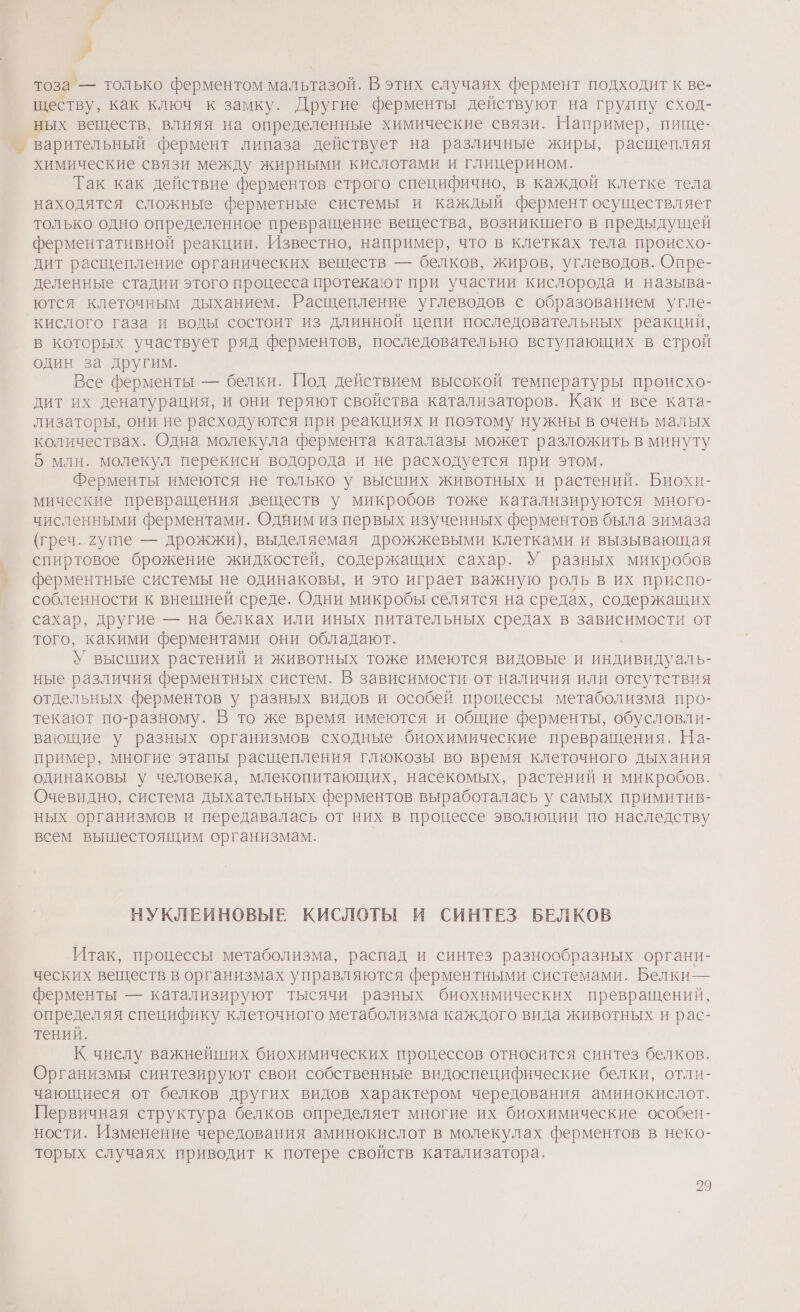 я тоза — только ферментом мальтазой. В этих случаях фермент подходит к ве- ществу, как ключ к замку. Другие ферменты действуют на грулпу сход- ных веществ, влияя на определенные химические связи. Например, пище- варительный фермент липаза действует на различные жиры, расщепляя химические связи между жирными кислотами и глицерином. Так как действие ферментов строго специфично, в каждой клетке тела находятся сложные ферметные системы и каждый фермент осуществляет только одно определенное превращение вещества, возникшего в предыдущей ферментативной реакции. Известно, например, что в клетках тела происхо- дит расщепление органических веществ — белков, жиров, углеводов. Опре- деленные стадии этого процесса протекают при участии кислорода и называ- ются клеточным дыханием. Расщепление углеводов с образованием угле- кислого газа и воды состоит из длинной цепи последовательных реакций, в которых участвует ряд ферментов, последовательно вступающих в строй один за другим. Все ферменты — белки. Под действием высокой температуры происхо- дит их денатурация, и они теряют свойства катализаторов. Как и все ката- лизаторы, они не расходуются при реакциях и поэтому нужны в очень малых количествах. Одна молекула фермента каталазы может разложить в минуту 5 млн. молекул перекиси водорода и не расходуется при этом. Ферменты имеются не только у высших животных и растений. Биохи- мические превращения веществ у микробов тоже катализируются много- численными ферментами. Одним из первых изученных ферментов была зимаза (греч. душе — дрожжи), выделяемая дрожжевыми клетками и вызывающая спиртовое брожение жидкостей, содержащих сахар. У разных микробов ферментные системы не одинаковы, и это играет важную роль в их приспо- собленности к внешней среде. Одни микробы селятся на средах, содержащих сахар, другие — на белках или иных питательных средах в зависимости от того, какими ферментами они обладают. У высших растений и животных тоже имеются видовые и индивидуа ЛЬ- ные различия ферментных систем. В зависимости от наличия или отсутствия отдельных ферментов у разных видов и особей процессы метаболизма про- текают по-разному. В то же время имеются и общие ферменты, обусловли- вающие у разных организмов сходные биохимические превращения. На- пример, многие этапы расщепления глюкозы во время клеточного дыхания одинаковы у человека, млекопитающих, насекомых, растений и микробов. Очевидно, система дыхательных ферментов выработалась у самых примитив- ных организмов и передавалась от них в процессе эволюции по наследству всем вышестоящим организмам. НУКЛЕИНОВЫЕ КИСЛОТЫ И СИНТЕЗ БЕЛКОВ Итак, процессы метаболизма, распад и синтез разнообразных органи- ческих веществ в организмах управляются ферментными системами. Белки— ферменты — катализируют тысячи разных биохимических превращений, определяя специфику клеточного метаболизма каждого вида животных и рас- тений. К числу важнейших биохимических процессов относится синтез белков. Организмы синтезируют свои собственные видоспецифические белки, отли- чающиеся от белков других видов характером чередования аминокислот. Первичная структура белков определяет многие их биохимические особен- ности. Изменение чередования аминокислот в молекулах ферментов в неко- торых случаях приводит к потере свойств катализатора.