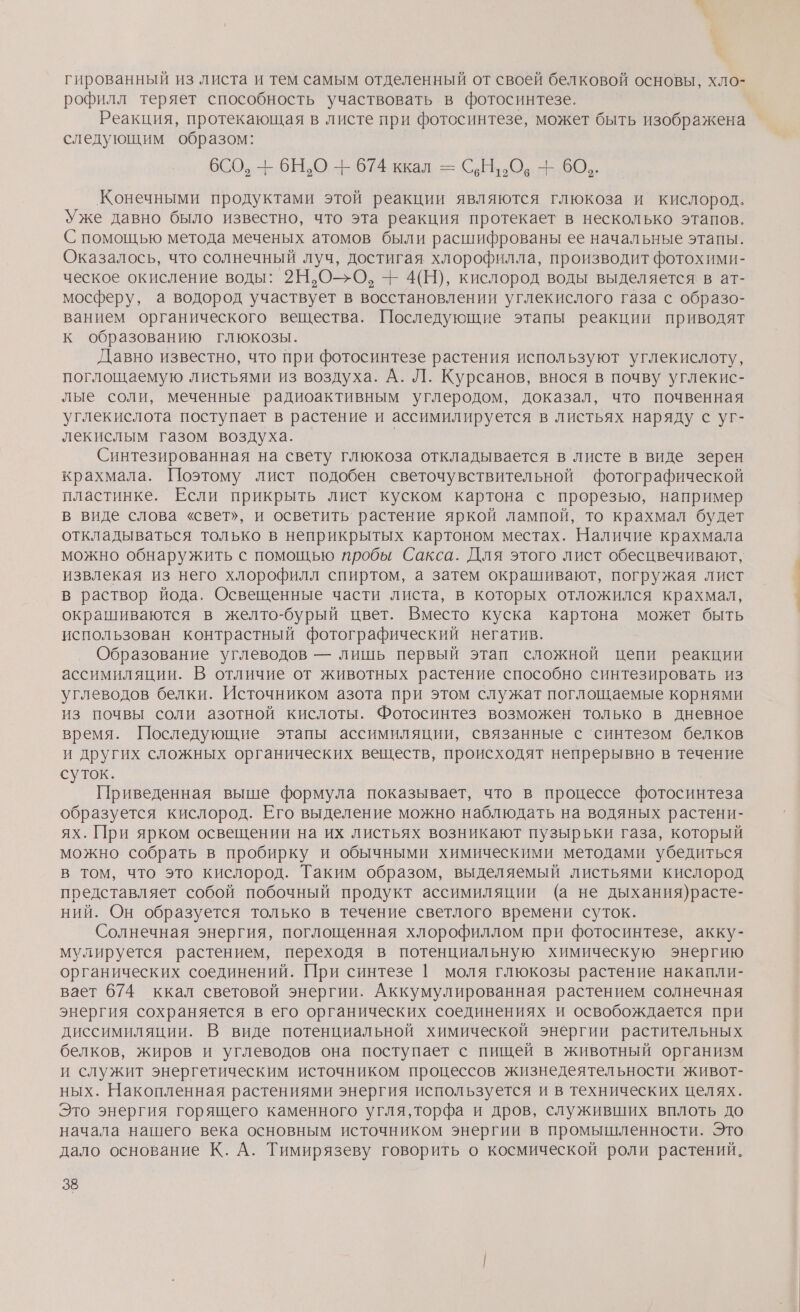 гированный из листа и тем самым отделенный от своей белковой основы, хло- рофилл теряет способность участвовать в фотосинтезе. Реакция, протекающая в листе при фотосинтезе, может быть изображена следующим образом: 6СО, + 6Н,О -+ 674 ккал = С.Н.» О, + 60.. Конечными продуктами этой реакции являются глюкоза и кислород. Уже давно было известно, что эта реакция протекает в несколько этапов. С помощью метода меченых атомов были расшифрованы ее начальные этапы. Оказалось, что солнечный луч, достигая хлорофилла, производит фотохими- ческое окисление воды: 2Н.О-О, -- 4(Н), кислород воды выделяется в ат- мосферу, а водород участвует В восстановлении углекислого газа с образо- ванием органического вещества. Последующие этапы реакции приводят к образованию глюкозы. Давно известно, что при фотосинтезе растения используют углекислоту, поглощаемую листьями из воздуха. А. Л. Курсанов, внося в почву углекис- лые соли, меченные радиоактивным углеродом, доказал, что почвенная углекислота поступает в растение и ассимилируется в листьях наряду с уг- лекислым газом воздуха. Синтезированная на свету глюкоза откладывается в листе в виде зерен крахмала. Поэтому лист подобен светочувствительной фотографической пластинке. Если прикрыть лист куском картона с прорезью, например в виде слова «свет», и осветить растение яркой лампой, то крахмал будет откладываться только в неприкрытых картоном местах. Наличие крахмала можно обнаружить с помощью пробы Сакса. Для этого лист обесцвечивают, извлекая из него хлорофилл спиртом, а затем окрашивают, погружая лист в раствор йода, Освещенные части листа, в которых отложился крахмал, окрашиваются в желто-бурый цвет. Вместо куска картона может быть использован контрастный фотографический негатив. Образование углеводов — лишь первый этап сложной цепи реакции ассимиляции. В отличие от животных растение способно синтезировать из углеводов белки. Источником азота при этом служат поглощаемые корнями из почвы соли азотной кислоты. Фотосинтез возможен только в дневное время. Последующие этапы ассимиляции, связанные с ‘синтезом белков и других сложных органических веществ, происходят непрерывно в течение суток. Приведенная выше формула показывает, что в процессе фотосинтеза образуется кислород. Его выделение можно наблюдать на водяных растени- ях. При ярком освещении на их листьях возникают пузырьки газа, который можно собрать в пробирку и обычными химическими методами убедиться в том, что это кислород. Таким образом, выделяемый листьями кислород представляет собой побочный продукт ассимиляции (а не дыхания)расте- ний. Он образуется только в течение светлого времени суток. Солнечная энергия, поглощенная хлорофиллом при фотосинтезе, акку- мулируется растением, переходя в потенциальную химическую энергию органических соединений. При синтезе | моля глюкозы растение накапли- вает 674 ккал световой энергии. Аккумулированная растением солнечная энергия сохраняется в его органических соединениях и освобождается при диссимиляции. В виде потенциальной химической энергии растительных белков, жиров и углеводов она поступает с пищей в животный организм и служит энергетическим источником процессов жизнедеятельности живот- ных. Накопленная растениями энергия используется и в технических целях. Это энергия горящего каменного угля, торфа и дров, служивших вплоть до начала нашего века основным источником энергии в промышленности. Это дало основание К. А. Тимирязеву говорить о космической роли растений.