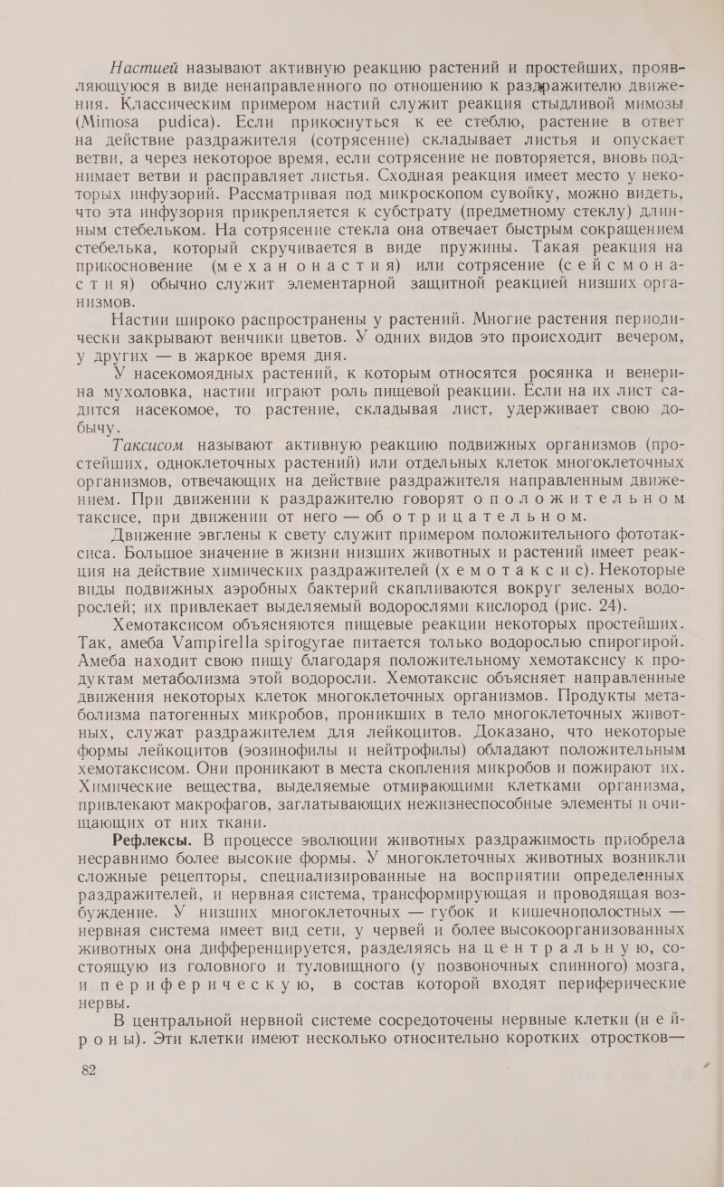 Настией называют активную реакцию растений и простейших, прояв- ляющуюся в виде ненаправленного по отношению к раздражителю движе- ния. Классическим примером настий служит реакция стыдливой мимозы (Мппоза риса). Если прикоснуться к ее стеблю, растение в ответ на действие раздражителя (сотрясение) складывает листья и опускает ветви, а через некоторое время, если сотрясение не повторяется, вновь под- нимает ветви и расправляет листья. Сходная реакция имеет место у неко- торых инфузорий. Рассматривая под микроскопом сувойку, можно видеть, что эта инфузория прикрепляется к субстрату (предметному стеклу) длин- ным стебельком. На сотрясение стекла она отвечает быстрым сокращением стебелька, который скручивается в виде пружины. Такая реакция на прикосновение (механ онастия) или сотрясение (сейс мона- сти я) обычно служит элементарной защитной реакцией низших орга- НИЗМОВ. Настии широко распространены у растений. Многие растения периоди- чески закрывают венчики цветов. У одних видов это происходит вечером, у других — в жаркое время дня. У насекомоядных растений, к которым относятся росянка и венери- на мухоловка, настии играют роль пищевой реакции. Если на их лист са- дится насекомое, то растение, складывая лист, удерживает свою до- бычу. Таксисом называют активную реакцию подвижных организмов (про- стейших, одноклеточных растений) или отдельных клеток многоклеточных организмов, отвечающих на действие раздражителя направленным движе- нием. При движении к раздражителю говорят оположительном таксисе, при движении от него — об отрицательном. Движение эвглены к свету служит примером положительного фототак- сиса. Большое значение в жизни низших животных и растений имеет реак- ция на действие химических раздражителей (хемотаксис). Некоторые виды подвижных аэробных бактерий скапливаются вокруг зеленых водо- рослей; их привлекает выделяемый водорослями кислород (рис. 24). Хемотаксисом объясняются пищевые реакции некоторых простейших. Так, амеба УатриеПа зрговугае питается только водорослью спирогирой. Амеба находит свою пищу благодаря положительному хемотаксису к про- дуктам метаболизма этой водоросли. Хемотаксис объясняет направленные движения некоторых клеток многоклеточных организмов. Продукты мета- болизма патогенных микробов, проникших в тело многоклеточных живот- ных, служат раздражителем для лейкоцитов. Доказано, что некоторые формы лейкоцитов (эозинофилы и нейтрофилы) обладают положительным хемотаксисом. Они проникают в места скопления микробов и пожирают их. Химические вещества, выделяемые отмирающими клетками организма, привлекают макрофагов, заглатывающих нежизнеспособные элементы и очи- щающих от них ткани. Рефлексы. В процессе эволюции животных раздражимость приобрела несравнимо более высокие формы. У многоклеточных животных возникли сложные рецепторы, специализированные на восприятии определенных раздражителей, и нервная система, трансформирующая и проводящая воз- буждение. У низших многоклеточных — губок и кишечнополостных — нервная система имеет вид сети, у червей и более высокоорганизованных животных она дифференцируется, разделяясь нацентральную, со- стоящую из головного и туловищного (у позвоночных спинного) мозга, и периферическую, в состав которой входят периферические нервы. В центральной нервной системе сосредоточены нервные клетки (не й- роны). Эти клетки имеют несколько относительно коротких отростков—