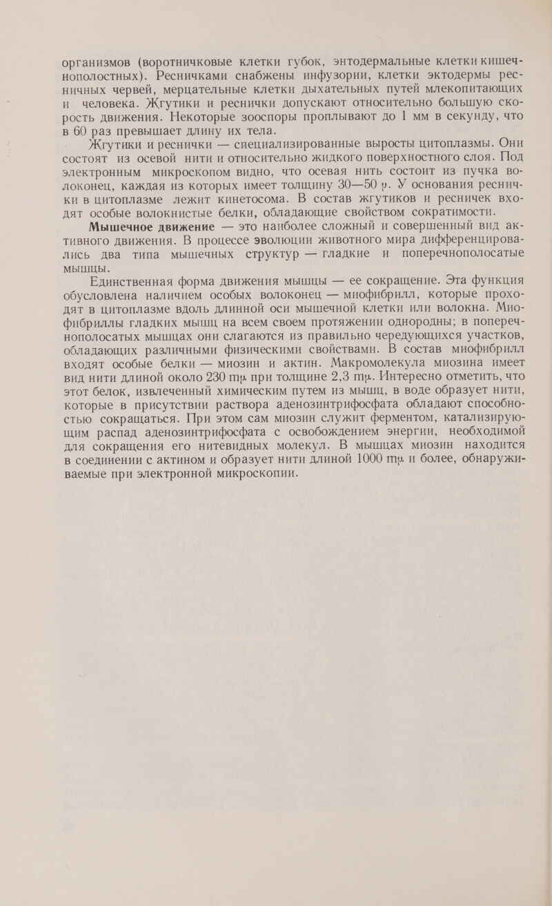 организмов (воротничковые клетки губок, энтодермальные клетки кишеч- нополостных). Ресничками снабжены инфузории, клетки эктодермы рес- ничных червей, мерцательные клетки дыхательных путей млекопитающих и человека. Жгутики и реснички допускают относительно большую ско- рость движения. Некоторые зооспоры проплывают до | мм в секунду, что в 60 раз превышает длину их тела. Жгутики и реснички — сиециализированные выросты цитоплазмы. Они состоят из осевой нити и относительно жидкого поверхностного слоя. Под электронным микроскопом видно, что осевая нить состоит из пучка во- локонец, каждая из которых имеет толщину 30—50 в. У основания реснич- ки в цитоплазме лежит кинетосома. В состав жгутиков и ресничек вхо- дят особые волокнистые белки, обладающие свойством сократимости. Мышечное движение — это наиболее сложный и совершенный вид ак- тивного движения. В процессе эволюции животного мира дифференцирова- лись два типа мышечных структур — гладкие и поперечнополосатые МЫШЦЫ. Единственная форма движения мышцы — ее сокращение. Эта функция обусловлена наличием особых волоконец — миофибрилл, которые прохо- дят в цитоплазме вдоль длинной оси мышечной клетки или волокна. Мио- фибриллы гладких мышц на всем своем протяжении однородны; в попереч- нополосатых мышцах они слагаются из правильно чередующихся участков, обладающих различными физическими свойствами. В состав миофибрилл входят особые белки — миозин и актин. Макромолекула миозина имеет вид нити длиной около 930 ть при толщине 2,3 шв. Интересно отметить, что этот белок, извлеченный химическим путем из мышц, в воде образует нити, которые в присутствии раствора аденозинтрифосфата обладают способно- стью сокращаться. При этом сам миозин служит ферментом, катализирую- щим распад аденозинтрифосфата с освобождением энергии, необходимой для сокращения его нитевидных молекул. В мышцах миозин находится в соединении с актином и образует нити длиной 1000 пы и более, обнаружи- ваемые при электронной микроскопии.