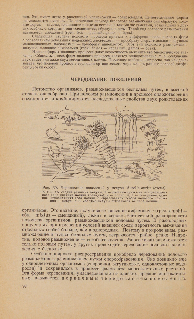 \ # ния. Это имеет место у раковинной корненожки — полистомеллы. Ее вегетативные формы размножаются делением. По окончании периода бесполого размножения они образуют поло- вые формыЬ— гаметы, плавающие в воде до встречи с такими же гаметами, возникшими в дру- гих особях, с которыми они соединяются, образуя зиготы. Такой вид полового размножения называется изогамией (греч. 150$ — равный, вато$ — брак). Следующая ступень полового процесса привела к дифференцировке половых форм с образованием небольших подвижных микрогамет — прообразу сперматозоидов и крупных малоподвижных макрогамет — прообразу яйцеклеток. Этот тип полового размножения получил название анизогамия (греч. ап!50$ — неравный, ап10$ — брак). Низшие формы полового процесса дают возможность выяснить его биологическое зна- чение. Общим для всех форм полового процесса является оплодотворение, т. е. соединение зывает, что половой процесс в эволюции органического мира возник раньше половой диффе- ренцировки особей. ЧЕРЕДОВАНИЕ ПОКОЛЕНИЙ Потомство организмов, размножающихся бесполым путем, в высокой степени однообразно. При половом размножении в процессе оплодотворения соединяются и комбинируются наследственные свойства двух родительских организмов. Это явление, получившее название амфимиксис (греч. атрб!— оба, пих{и5 — смешанный), лежит в основе генетической разнородности потомства организмов, размножающихся половым путем. В разнородных популяциях при изменении условий внешней среды вероятность выживания отдельных особей больше, чем в однородных. Поэтому в природе виды, раз- множающиеся только бесполым путем, встречаются крайне редко. Напро- тив, половое размножение — всеобщее явление. Многие виды размножаются только половым путем, у других происходит чередование полового размно- жения с бесполым. Особенно широкое распространение приобрело чередование полового размножения с размножением путем спорообразования. Оно возникло еще у одноклеточных организмов (споровики, жгутиковые, одноклеточные водо- росли) и сохранилось в процессе филогенеза многоклеточных растений. Эта форма чередования, унаследованная от далеких предков многоклеточ- 98 ЕЕ НОР См И КЕ =