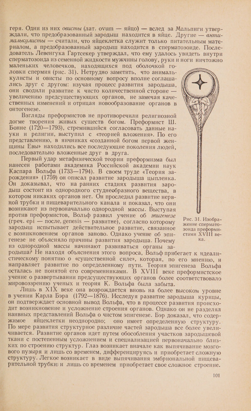 геря. Одни из них овисты (лат. оуит — яйцо) — вслед за Мальпиги утвер- ждали, что предобразованный зародыш находится в яйце. Другие — анти- малькулисты — считали, что яйцеклетка служит только питательным мате- риалом, а предобразованный зародыш находится в сперматозоиде. После- дователь Левенгука Гартсекер утверждал, что ему удалось увидеть внутри сперматозоида из семенной жидкости мужчины голову, руки и ноги ничтожно маленьких человечков, находящихся под оболочкой го- ловки спермия (рис. 31). Нетрудно заметить, что анималь- кулисты и овисты по основному вопросу вполне соглаша- лись друг с другом: изучая процесс развития зародыша, они сводили развитие к чисто количественной стороне — увеличению предсуществующих органов, не замечая каче- ственных изменений и отрицая новообразование органов в онтогенезе. | Взгляды преформистов не противоречили религиозной догме творения живых существ богом. Преформист Ш. Бонне (1720—1793), стремившийся согласовать данные на- уки и религии, выступил с «теорией вложения». По его представлению, в яичниках «созданной богом первой жен- щины Евы» находились все последующие поколения людей, последовательно вложенные друг в друга. Первый удар метафизической теории преформизма был нанесен работами академика Российской академии наук Каспара Вольфа (1733—1794). В своем труде «Теория за- рождения» (1759) он описал развитие зародыша цыпленка. Он доказывал, что на ранних стадиях развития заро- дыш состоит из однородного студнеобразного вещества, в котором никаких органов нет. Он проследил развитие нерв- ной трубки и пищеварительного канала и показал, что они возникают из первоначально однородной массы. Выступая против преформистов, Вольф развил учение об эпигенезе а (греч. ерё — после, 3епе51$ — развитие), согласно которому жение и: зародыш испытывает действительное развитие, связанное — зоида преформи- с возникновением органов заново. Однако учение об эпи- стами ХУ ве- генезе не объясняло причины развития зародыша. Почему ео из однородной массы начинают развиваться органы за- родыша? Не находя объяснения этого вопроса, Вольф прибегает к идеали- стическому понятию о «существенной силе», которая, по его мнению, и направляет развитие по определенному пути. Теория эпигенеза Вольфа осталась не понятой его современниками. В ХУПП веке преформистское учение о развертывании предсуществующих органов более соответствовало мировоззрению ученых и теория К. Вольфа была забыта. Лишь в ХХ веке она возрождается вновь на более высоком уровне в учении Карла Бэра (1792—1876). Исследуя развитие зародыша курицы, он подтверждает основной вывод Вольфа, что в процессе развития происхо- дит возникновение и усложнение строения органов. Однако он не разделял наивных представлений Вольфа о чистом эпигенезе. Бэр доказал, что содер- жимое яйцеклетки неоднородно; оно имеет определенную структуру. По мере развития структурное различие частей зародыша все более увели- чивается. Развитие органов идет путем обособления участков зародышевой ткани с постепенным усложнением и специализацией первоначально близ- ких по строению структур. Глаз возникает вначале как выпячивание мозго- вого пузыря и лишь со временем, дифференцируясь и приобретает сложную структуру. Легкое возникает в виде выпячивания эмбриональной пищева- рительной трубки; и лишь со временем приобретает свое сложное строение.