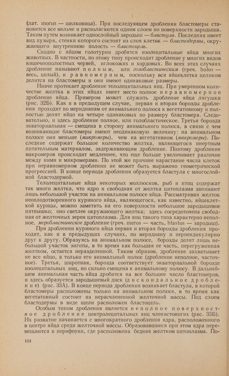 р. (лат. тогиз — шелковица). При последующем дроблении бластомеры ста- новятся все мельче и располагаются одним слоем по поверхности зародыша. Таким путем возникает однослойный зародыш — бластула. Последняя имеет вид пузыря, стенки которого состоят из слоя клеток — бластодермы, окру- жающего внутреннюю полость — бластоцель. Сходно с яйцом голотурии дробятся изолецитальные яйца многих животных. В частности, по этому типу происходит дробление у многих видов кишечнополостных червей, иглокожих и хордовых. Во всех этих случаях дробление называют полным, или голобластическим (греч. Во|0$ — весь, целый), и равномерным, поскольку вся яйцеклетка целиком делится на бластомеры и они имеют одинаковые размеры. Иначе протекает дробление телолецитальных яиц. При умеренном коли- честве желтка в этих яйцах имеет место полное неравномерное дробление яйца. Примером может служить дробление яйца лягушки (рис. 32Б). Как и в предыдущем случае, первая и вторая борозды дробле- ния проходят по меридианам от анимального полюса к вегетативному и пол- ностью делят яйцо на четыре одинаковых по размеру бластомера. Следо- вательно, и здесь дробление полное, или голобластическое. Третья борозда экваториальная — смещена в сторону анимального полюса, в связи с чем возникающие бластомеры имеют неодинаковую величину: на анимальном полюсе они меньше (микромеры), чем на вегетативном (макромеры). По- следние содержат большое количество желтка, являющегося инертным питательным материалом, задерживающим дробление. Поэтому дробление макромеров происходит медленнее, что еще больше увеличивает различие между ними и микромерами. По этой же причине нарастание числа клеток при неравномерном дроблении не может быть выражено геометрической прогрессией. В конце периода дробления образуется бластула с многослой- ной бластодермой. | Телолецитальные яйца некоторых моллюсков, рыб и птиц содержат так много желтка, что ядро и свободная от желтка цитоплазма занимают лишь небольшой участок на анимальном полюсе яйца. Рассматривая желток неоплодотворенного куриного яйца, являющегося, как известно, яйцеклет- кой курицы, можно заметить на его поверхности небольшое зародышевое пятнышко; оно светлее окружающего желтка; здесь сосредоточена свобод- ная от желточных зерен цитоплазма. Для яиц такого типа характерно непол- ное, меробластическое дробление (греч. тегоз — часть, ]а$0$ — зародыш). При дроблении куриного яйца первая и вторая борозды дробления про-. ходят, как и в предыдущих случаях, по меридиану и перпендикулярно друг к другу. Образуясь на анимальном полюсе, борозды делят лишь не- большой участок зиготы, в то время как большая ее часть, перегруженная желтком, остается неразделенной. Таким образом, дробление захватывает не все яйцо, а только его анимальный полюс (дробление неполное, частич- ное). Третья, широтная, борозда соответствует экваториальной борозде изолецитальных яиц, но сильно смещена к анимальному полюсу. В дальней- шем анимальная часть яйца дробится на все большее число бластомеров, и здесь образуется зародышевый диск (дискоидальное дробле- ние) (рис. 33А). В конце периода дробления возникает бластула, в которой бластомеры расположены только на анимальном полюсе, в то время как вегетативный состоит из нерасчлененной желточной массы. Под слоем бластодермы в виде щели расположен бластоцель. Особым типом дробления является неполное поверхност- ное дробление центролецитальных яиц членистоногих (рис. 33Б). Их развитие начинается с многократного дробления ядра, расположенного в центре яйца среди желточной массы. Образовавшиеся при этом ядра пере- мещаются к периферии, где расположена бедная желтком цитоплазма. По-