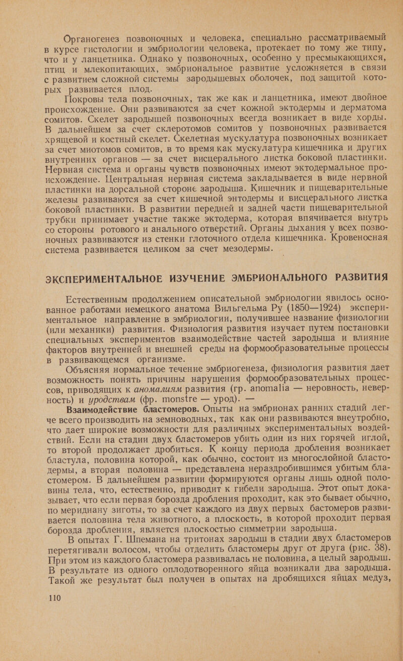 Органогенез позвоночных и человека, специально рассматриваемый в курсе гистологии и эмбриологии человека, протекает по тому же типу, что и у ланцетника. Однако у позвоночных, особенно у пресмыкающихся, птиц и млекопитающих, эмбриональное развитие усложняется в связи с развитием сложной системы зародышевых оболочек, под защитой кото- рых развивается плод. Покровы тела позвоночных, так же как и ланцетника, имеют двойное происхождение. Они развиваются за счет кожной эктодермы и дерматома сомитов. Скелет зародышей позвоночных всегда возникает в виде хорды. хрящевой и костный скелет. Скелетная мускулатура позвоночных возникает за счет миотомов сомитов, в то время как мускулатура кишечника и других внутренних органов — за счет висцерального листка боковой пластинки. Нервная система и органы чувств позвоночных имеют эктодермальное про- исхождение. Центральная нервная система закладывается в виде нервной пластинки на дорсальной стороне зародыша. Кишечник и пищеварительные железы развиваются за счет кишечной энтодермы и висцерального листка боковой пластинки. В развитии передней и задней части пищеварительной трубки принимает участие также эктодерма, которая впячивается внутрь со стороны ротового и анального отверстий. Органы дыхания у всех позво- ночных развиваются из стенки глоточного отдела кишечника. Кровеносная система развивается целиком за счет мезодермы. ЭКСПЕРИМЕНТАЛЬНОЕ ИЗУЧЕНИЕ ЭМБРИОНАЛЬНОГО РАЗВИТИЯ Естественным продолжением описательной эмбриологии явилось осно- ванное работами немецкого анатома Вильгельма Ру (1850—1924) экспери- ментальное направление в эмбриологии, получившее название физиологии (или механики) развития. Физиология развития изучает путем постановки специальных экспериментов взаимодействие частей зародыша и влияние факторов внутренней и внешней среды на формообразовательные процессы в развивающемся организме. | Объясняя нормальное течение эмбриогенеза, физиология развития дает возможность понять причины нарушения формообразовательных процес- сов, приводящих к аномалиям развития (гр. апотаПа — неровность, невер- ность) и иродствам (фр. топ ге — урод). — Взаимодействие бластомеров. Опыты на эмбрионах ранних стадий лег- че всего производить на земноводных, так как они развиваются внеутробно, что дает широкие возможности для различных экспериментальных воздей- ствий. Если на стадии двух бластомеров убить один из них горячей иглой, то второй продолжает дробиться. К концу периода дробления возникает бластула, половина которой, как обычно, состоит из многослойной бласто- дермы, а вторая половина — представлена нераздробившимся убитым бла- стомером. В дальнейшем развитии формируются органы лишь одной поло- вины тела, что, естественно, приводит к гибели зародыша. Этот опыт дока- зывает, что если первая борозда дробления проходит, как это бывает обычно, по меридиану зиготы, то за счет каждого из двух первых бастомеров разви- вается половина тела животного, а плоскость, в которой проходит первая борозда дробления, является плоскостью симметрии зародыша. В опытах Г. Шпемана на тритонах зародыш в стадии двух бластомеров перетягивали волосом, чтобы отделить бластомеры друг от друга (рис. 38). При этом из каждого бластомера развивалась не половина, а целый зародыш. В результате из. одного оплодотворенного яйца возникали два зародыша. Такой же результат был получен в опытах на дробящихся яйцах медуз, ‚110