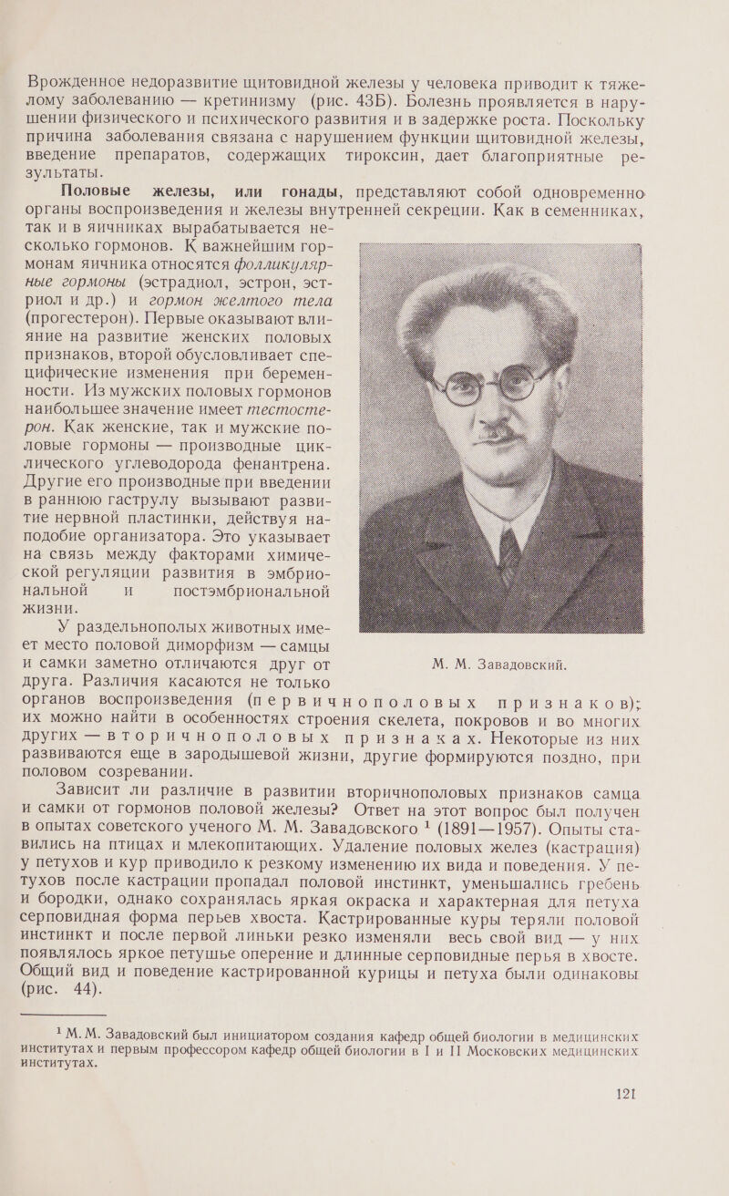 Врожденное недоразвитие щитовидной железы у человека приводит к тяже- лому заболеванию — кретинизму (рис. 43Б). Болезнь проявляется в нару- шении физического и психического развития и в задержке роста. Поскольку причина заболевания связана с нарушением функции щитовидной железы, введение препаратов, содержащих тироксин, дает благоприятные ре- зультаты. Половые железы, или гонады, представляют собой одновременно органы воспроизведения и железы внутренней секреции. Как в семенниках, так и в яичниках вырабатывается не- сколько гормонов. К важнейигим гор- монам яичника относятся фолликуляр- ные гормоны (эстрадиол, эстрон, эст- риол и др.) и гормон желтого тела (прогестерон). Первые оказывают вли- яние на развитие женских половых признаков, второй обусловливает спе- цифические изменения при беремен- ности. Из мужских половых гормонов наибольшее значение имеет тестосте- рон. Как женские, так и мужские по- ловые гормоны — производные цик- лического углеводорода фенантрена. Другие его производные при введении в раннюю гаструлу вызывают разви- тие нервной пластинки, действуя на- подобие организатора. Это указывает на связь между факторами химиче- ской регуляции развития в эмбрио- нальной И постэмбриональной ЖИЗНИ. У раздельнополых животных име- ет место половой диморфизм — самцы и самки заметно отличаются друг от М. М. Завадовский. друга. Различия касаются не только органов воспроизведения первичнополовых признаков); их можно найти в особенностях строения скелета, покровов и во многих других — вторичнополовых признаках. Некоторые из них развиваются еще в зародышевой жизни, другие формируются поздно, при половом созревании. Зависит ли различие в развитии вторичнополовых признаков самца и самки от гормонов половой железы? Ответ на этот вопрос был получен в опытах советского ученого М. М. Завадовского 1 (1891—1957). Опыты ста- вились на птицах и млекопитающих. Удаление половых желез (кастрация) у петухов и кур приводило к резкому изменению их вида и поведения. У пе- тухов после кастрации пропадал половой инстинкт, уменьшались гребень. и бородки, однако сохранялась яркая окраска и характерная для петуха серповидная форма перьев хвоста. Кастрированные куры теряли половой инстинкт и после первой линьки резко изменяли весь свой вид — у них появлялось яркое петушье оперение и длинные серповидные перья в хвосте. ее вид и поведение кастрированной курицы и петуха были одинаковы рис. 44). 1 М. М. Завадовский был инициатором создания кафедр общей биологии в медицинских институтах и первым профессором кафедр общей биологии в Ги 1] Московских медицинских институтах.