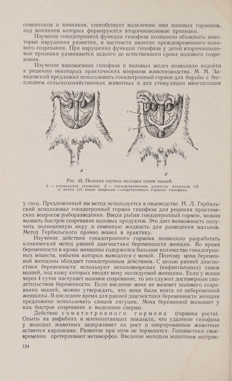 семенников и яичников, способствует выделению ими половых гормонов, под влиянием которых формируются вторичнополовые признаки. Изучение гонадотропной функции гипофиза позволило объяснить неко- торые нарушения развития, в частности явление преждевременного поло- вого созревания. При нарушении функции гипофиза у детей вторичнополо- вые признаки развиваются задолго до естественного срока полового созре- вания. Изучение взаимосвязи гипофиза и половых желез позволило подойти к решению некоторых практических вопросов животноводства. М. М. За- вадовский предложил использовать гонадотропный гормон для борьбы с бес- плодием сельскохозяйственных животных и для стимуляции многоплодия 2 РУЗ И ГР х, .42 7 77 == и Я А — нормальное строение; Б — преждевременное развитие яичников (1) , и матки (2) после введения гонадотропного гормона гипофиза. у &lt;вец. Предложенный им метод используется в овцеводстве. Н. Л. Г ербиль- ский использовал гонадотропный гормон гипофиза для решения практиче- ских вопросов рыборазведения. Вводя рыбам гонадотропный гормон, можно вызвать быстрое созревание половых продуктов. Это дает возможность полу- чить полноценную икру и семенную жидкость для разведения мальков. Метод Гербильского прочно вошел в практику. | Изучение действия гонадотропного гормона позволило разработать клинический метод ранней диагностики беременности женщин. Во время беременности в крови женщины содержится большое количество гонадотроп- ных веществ, избыток которых выводится с мочой. Поэтому моча беремен- ной женщины обладает гонадотропным действием. С целью ранней диагно- стики беременности используют неполовозрелых (инфантильных) самок мышей, под кожу которых вводят мочу исследуемой женщины. Если у мыши через 4 суток наступает половое созревание, то это служит достоверным сви- детельством беременности. Если введение мочи не вызовет полового созре- вания мышей, можно утверждать, что моча была взята от небеременной женщины. В последнее время для ранней диагностики беременности женщин предложено использовать самцов лягушек. Моча беременной вызывает у них быстрое созревание и выделение спермы. Действие соматотропного гормона (гормона роста). Опыты на амфибиях и млекопитающих показали, что удаление гипофиза у молодых животных задерживает их рост и оперированные животные остаются карликами. Развитие при этом не тормозится. Головастики свое- временно претерпевают метаморфоз. Введение молодым животным экстрак-