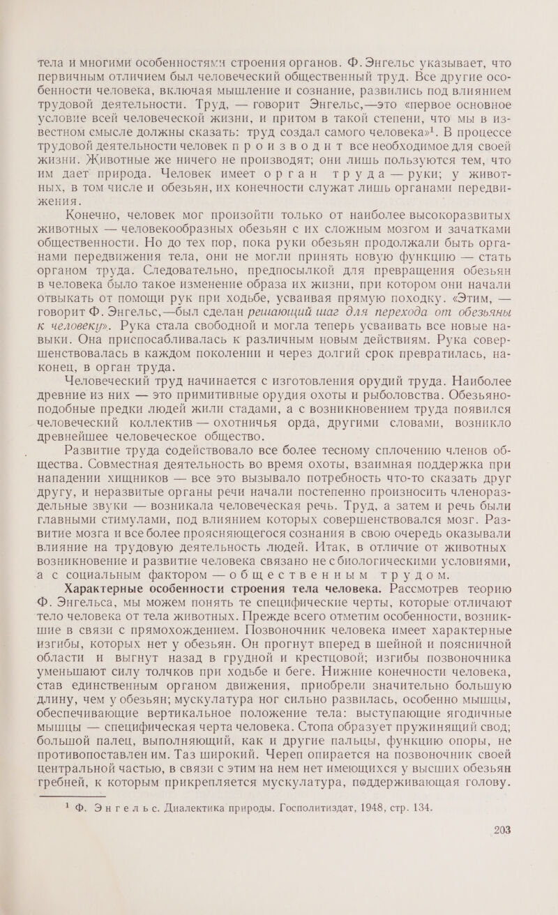 тела и многими особенностями строения органов. Ф. Энгельс указывает, что первичным отличием был человеческий общественный труд. Все другие осо- бенности человека, включая мышление и сознание, развились под влиянием трудовой деятельности. Труд, — говорит Энгельс,—это «первое основное условие всей человеческой жизни, и притом в такой степени, что мы в из- вестном смысле должны сказать: труд создал самого человека»!. В процессе трудовой деятельности человек производит все необходимое для своей жизни. Животные же ничего не производят; они лишь пользуются тем, что им дает природа. Человек имеет орган труда — руки; у живот- ных, в том числе и обезьян, их конечности служат лишь органами передви- жения. Конечно, человек мог произойти только от наиболее высокоразвитых животных — человекообразных обезьян с их сложным мозгом и зачатками общественности. Но до тех пор, пока руки обезьян продолжали быть орга- нами передвижения тела, они не могли принять новую функцию — стать органом труда. Следовательно, предпосылкой для превращения обезьян в человека было такое изменение образа их жизни, при котором они начали отвыкать от помощи рук при ходьбе, усваивая прямую походку. «Этим, — говорит Ф. Энгельс, —был сделан ренающий шаг для перехода от обезьяны к человеку». Рука стала свободной и могла теперь усваивать все новые на- выки. Она приспосабливалась к различным новым действиям. Рука совер- шенствовалась в каждом поколении и через долгий срок превратилась, на- конец, в орган труда. Человеческий труд начинается с изготовления орудий труда. Наиболее древние из них — это примитивные орудия охоты и рыболовства. Обезьяно- подобные предки людей жили стадами, а с возникновением труда появился человеческий коллектив — охотничья орда, другими словами, возникло древнейшее человеческое общество. Развитие труда содействовало все более тесному сплочению членов об- щества. Совместная деятельность во время охоты, взаимная поддержка при нападении хищников — все это вызывало потребность что-то сказать друг другу, и неразвитые органы речи начали постепенно произносить членораз- дельные звуки — возникала человеческая речь. Труд, а затем и речь были главными стимулами, под влиянием которых совершенствовался мозг. Раз- витие мозга и все более проясняющегося сознания в свою очередь оказывали влияние на трудовую деятельность людей. Итак, в отличие от животных возникновение и развитие человека связано не сбиологическими условиями, а с социальным фактором — общественным трудом. Характерные особенности строения тела человека. Рассмотрев теорию Ф. Энгельса, мы можем понять те специфические черты, которые! отличают тело человека от тела животных. Прежде всего отметим особенности, возник- шие в связи с прямохождением. Позвоночник человека имеет характерные изгибы, которых нет у обезьян. Он прогнут вперед в шейной и поясничной области и выгнут назад в грудной и крестцовой; изгибы позвоночника уменьшают силу толчков при ходьбе и беге. Нижние конечности человека, став единственным органом движения, приобрели значительно большую длину, чем у обезьян; мускулатура ног сильно развилась, особенно мышцы, обеспечивающие вертикальное положение тела: выступающие ягодичные мышцы — специфическая черта человека. Стопа образует пружинящий свод; большой палец, выполняющий, как и другие пальцы, функцию опоры, не противопоставлен им. Таз широкий. Череп опирается на позвоночник своей центральной частью, в связи с этим'на нем нет имеющихся у высших обезьян ‘гребней, к которым прикрепляется мускулатура, поддерживающая голову. 1 Ф. Энгельс. Диалектика природы. Госполитиздат, 1948, стр. 134.