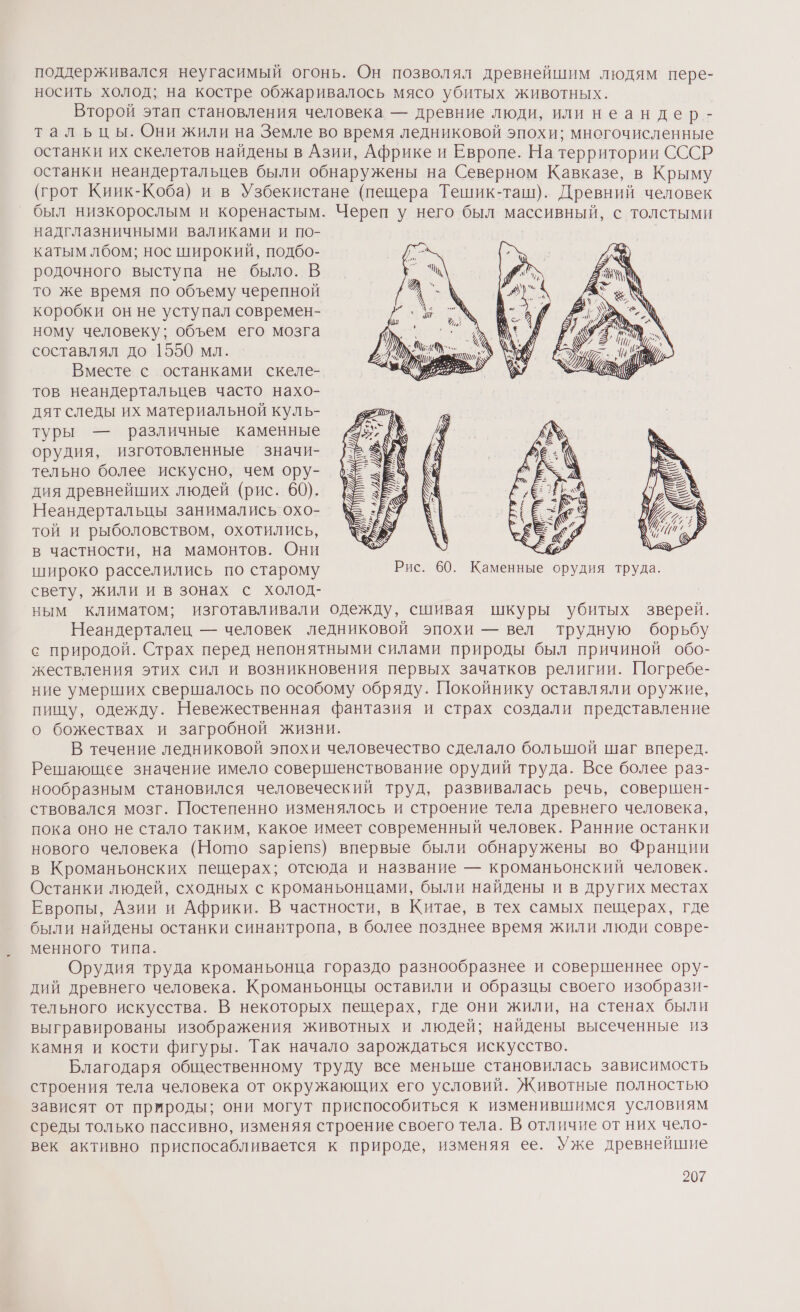 поддерживался неугасимый огонь. Он позволял древнейшим людям пере- носить холод; на костре обжаривалось мясо убитых животных. Второй этап становления человека — древние люди, или неандер - тальцы. Они жили на Земле во время ледниковой эпохи; многочисленные останки их скелетов найдены в Азии, Африке и Европе. На территории СССР останки неандертальцев были обнаружены на Северном Кавказе, в Крыму (грот Киик-Коба) и в Узбекистане (пещера Тешик-таш). Древний человек был низкорослым и коренастым. Череп у него был. массивный, с толстыми надглазничными валиками и по- катым лбом; нос широкий, подбо- родочного выступа не было. В то же время по объему черепной коробки он не уступал современ- ному человеку; объем его мозга составлял до 1550 мл. Вместе с останками скеле- тов неандертальцев часто нахо- дят следы их материальной куль- туры — различные каменные орудия, изготовленные значи- тельно более искусно, чем ору- дия древнейших людей (рис. 60). Неандертальцы занимались охо- той и рыболовством, охотились, в частности, на мамонтов. Они ху широко расселились по старому Рис. 60. Каменные орудия труда. свету, жили и в зонах с холод- ным климатом; изготавливали одежду, сшивая шкуры убитых зверей. Неандерталец — человек ледниковой эпохи — вел трудную борьбу с природой. Страх перед непонятными силами природы был причиной обо- жествления этих сил и возникновения первых зачатков религии. Погребе- ние умеригих свершалось по особому обряду. Покойнику оставляли оружие, пищу, одежду. Невежественная фантазия и страх создали представление о божествах и загробной жизни. В течение ледниковой эпохи человечество сделало болышой шаг вперед. Решающее значение имело совершенствование орудий труда. Все более раз- нообразным становился человеческий труд, развивалась речь, совершен- ствовался мозг. Постепенно изменялось и строение тела древнего человека, пока оно не стало таким, какое имеет современный человек. Ранние останки нового человека (Ното зар1епз$) впервые были обнаружены во Франции в Кроманьонских пещерах; отсюда и название — кроманьонский человек. Останки людей, сходных с кроманьонцами, были найдены и в других местах Европы, Азии и Африки. В частности, в Китае, в тех самых пещерах, где были найдены останки синантропа, в более позднее время жили люди совре- менного типа. Орудия труда кроманьонца гораздо разнообразнее и совершеннее ору- дий древнего человека. Кроманьонцы оставили и образцы своего изобрази- тельного искусства. В некоторых пещерах, где они жили, на стенах были выгравированы изображения животных и людей; найдены высеченные из камня и кости фигуры. Так начало зарождаться искусство. Благодаря общественному труду все меньше становилась зависимость строения тела человека от окружающих его условий. Животные полностью зависят от природы; они могут приспособиться к изменившимся условиям среды только пассивно, изменяя строение своего тела. В отличие от них чело- век активно приспосабливается к природе, изменяя ее. Уже древнейшие
