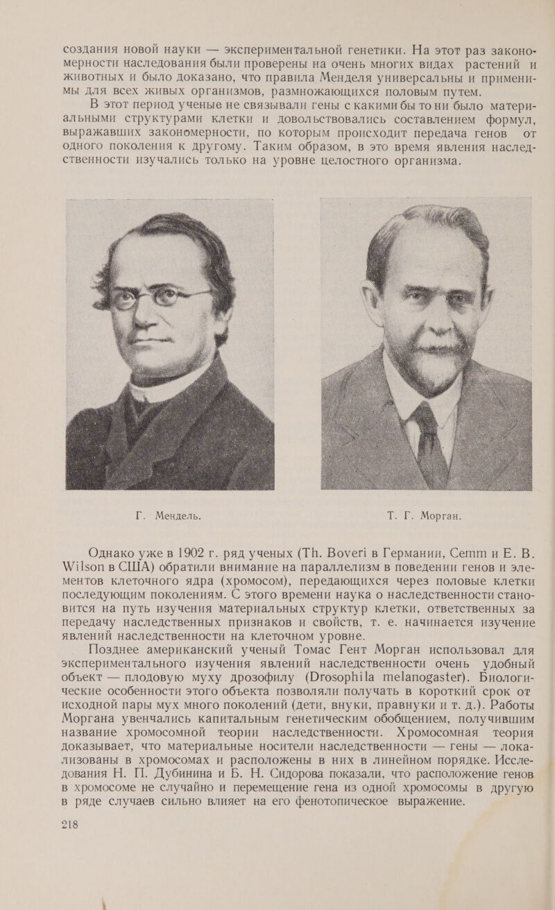 создания новой науки — экспериментальной генетики. На этот раз законо- мерности наследования были проверены на очень многих видах растений и животных и было доказано, что правила Менделя универсальны и примени- мы для всех живых организмов, размножающихся половым путем. В этот период ученые не связывали гены с какими бы то ни было матери- альными структурами клетки и довольствовались составлением формул, выражавших закономерности, по которым происходит передача генов от одного поколения к другому. Таким образом, в это время явления наслед- ственности изучались только на уровне целостного организма. — Однако ужев 1902 г. ряд ученых (ТВ. ВоуегЕ в Германии, Сетш и Е. В. \/П5оп в США) обратили внимание на параллелизм в поведении генов и эле- ментов клеточного ядра (хромосом), передающихся через половые клетки последующим поколениям. С этого времени наука о наследственности стано- вится на путь изучения материальных структур клетки, ответственных за передачу наследственных признаков и свойств, т. е. начинается изучение явлений наследственности на клеточном уровне. Позднее американский ученый Томас Гент Морган использовал для экспериментального изучения явлений наследственности очень удобный объект — плодовую муху дрозофилу (ОгозорНИа те|апосаз{ег). Биологи- ческие особенности этого объекта позволяли получать в короткий срок от исходной пары мух много поколений (дети, внуки, правнуки и т. д.). Работы Моргана увенчались капитальным генетическим обобщением, получившим название хромосомной теории наследственности. Хромосомная теория доказывает, что материальные носители наследственности — гены — лока- лизованы в хромосомах и расположены в них в линейном порядке. Иссле- дования Н. [1. Дубинина и Б. Н. Сидорова показали, что расположение генов в хромосоме не случайно и перемещение гена из одной хромосомы в другую в ряде случаев сильно влияет на его фенотопическое выражение.