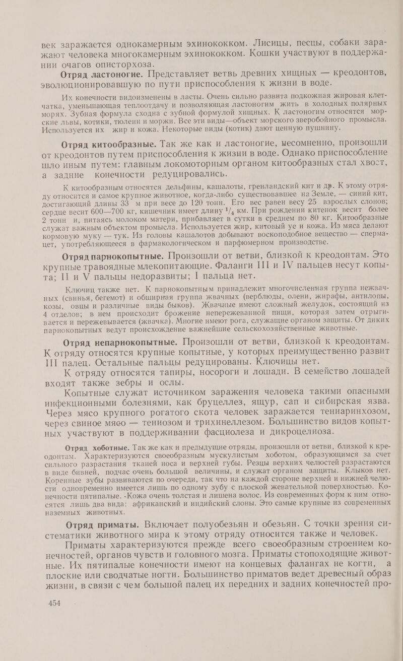 век заражается однокамерным ЭХИНОКОККОмМ. Лисицы, песцы, собаки зара- жают человека многокамерным эхинококком. Кошки участвуют в поддержа- нии очагов описторхоза. Отряд ластоногие. Представляет ветвь древних хищных — креодонтов, эволюЦционировавшую ПО пути приспособления к жизни в воде. Их конечности видоизменены в ласты. Очень сильно развита подкожная жировая клет- чатка, уменынающая теплоотдачу и позволяющая ластоногим жить в холодных полярных морях. Зубная формула сходна с зубной формулой хищных. К ластоногим относятся мор- ские львы, котики, тюлени и моржи. Все эти виды—объект морского зверобойного промысла. Используется их жир и кожа. Некоторые виды (котик) дают ценную пушнину. Отряд китообразные. Так же как и ластоногие, несомненно, произошли от креодонтов путем приспособления к жизни в воде. Однако приспособление шло иным путем: главным локомоторным органом китообразных стал хвоет, а задние конечности редуцировались. К китообразным относятся дельфины, кашалоты, гренландский кит и др. К этому отря- ду относится и самое крупное животное, когда-либо существовавшее на Земле, — синий кит, достигающий длины 33 м при весе до 120 тонн. Его вес равен весу 25 взрослых слонов; сердце весит 600—700 кг, кишечник имеет длину 1/. км. При рождении китенок весит более 2 тонн и, питаясь молоком матери, прибавляет в сутки в среднем по 80 кг. Китообразные служат важным объектом промысла. Используется жир, китовый уе и кожа. Из мяса делают кормовую муку — тук. Из головы кашалотов добывают воскоподобное вещество — сперма- цет, употребляющееся в фармакологическом и парфюмерном производстве. Отряд парнокопытные. Произошли от ветви, близкой к креодонтам. ЭТО крупные травоядные млекопитающие. Фаланги ПТ и Г\У пальцев несут копы- та; Пи У пальцы недоразвиты; [ пальца нет. Ключиц также вет. К парнокопытны м принадлежит многочисленная группа нежвач- ных (свинья, бегемот) и обширная группа жвачных (верблюды, олени, жирафы, антилопы, козы, овцы и различные виды быков). Жвачные имеют сложный желудок, состоящий из 4 отделов; в нем происходит брожение непережеванной пищи, которая затем отрыги- вается и пережевывается (жвачка). Многие имеют рога, служащие органом защиты. От диких парнокопытных ведут происхождение важнейшие сельскохозяйственные животные. Отряд непарнокопытные. Произошли от ветви, близкой к креодонтам. К отряду относятся крупные копытные, у которых преимущественно развит ПП палец. Остальные пальцы редуцированы. Ключицы нет. К отряду относятся тапиры, носороги и лошади. В семейство лошадей входят также зебры и ослы. Копытные служат источником заражения человека такими опасными инфекционными болезнями, как бруцеллез, ящур, сап и сибирская язва. Через мясо крупного рогатого скота человек заражается тениаринхозом, через свиное мясо — тениозом и трихинеллезом. Большинство видов копыт- ных участвуют в поддерживании фасциолеза и дикроцелиоза. Отряд хоботные. Так же как и предыдущие отряды, произошли от ветви, близкой к кре- одонтам. Характеризуются своеобразным мускулистым хоботом, образующимся за счет сильного разрастания тканей носа и верхней губы. Резцы верхних челюстей разрастаются в виде бивней, подчас очень большой величины, и служат органом защиты. Клыков нет. Коренные зубы развиваются по очереди, так что на каждой стороне верхней и нижней челю- сти одновременно имеется лишь по одному зубу с плоской жевательной поверхностью. Ко- нечности пятипалые. -Кожа очень толстая и лишена волос. Из современных форм к ним отно- сятся лишь два вида: африканский и индийский слоны. Это самые крупные из современных наземных животных. Отряд приматы. Включает полуобезьян и обезьян. С точки зрения си- стематики животного мира к этому отряду относится также и человек. Приматы характеризуются прежде всего своеобразным строением ко- нечностей, органов чувств и головного мозга. Приматы стопоходящие живот- ные. Их пятипалые конечности имеют на концевых фалангах не когти, а плоские или сводчатые ногти. Большинство приматов ведет древесный образ жизни, в связи с чем болышой палец их передних и задних конечностей про-