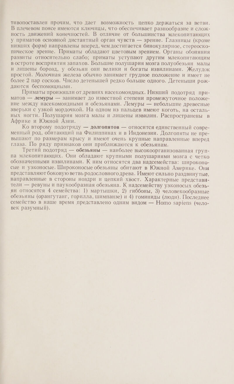 тивопоставлен прочим, что дает возможность цепко держаться за ветви. В плечевом поясе имеются ключицы, что обеспечивает разнообразие и слож- ность движений конечностей. В отличие от болыпинства млекопитающих у приматов основной дистантный орган чувств — зрение. Глазницы (кроме низших форм) направлены вперед, чем достигается бинокулярное, стереоско- пическое зрение. Приматы обладают цветовым зрением. Органы обоняния развиты относительно слабо; приматы уступают другим млекопитающим в остроте восприятия запахов. Большие полушария мозга полуобезьян малы и лишены борозд, у обезьян они велики и богаты извилинами. Желудок простой. Молочная железа обычно занимает грудное положение и имеет не более 2 пар сосков. Число детенышей редко больше одного. Детеныши рож- даются беспомощными. Приматы произошли от древних насекомоядных. Низший подотряд при- матов — лемуры — занимает до известной степени промежуточное положе- ние между насекомоядными и обезьянами. Лемуры — неболышие древесные зверьки с узкой мордочкой. На одном из пальцев имеют коготь, на осталь- ных ногти. Полушария мозга малы и лишены извилин. Распространены в Африке и Южной Азии. Ко второму подотряду — долгопятов — относится единственный совре- менный род, обитающий на Филиппинах и в Индонезии. Долгопяты не пре- вышают по размерам крысу и имеют очень крупные направленные вперед глаза. По ряду признаков они приближаются к обезьянам. Третий подотряд — обезьяны — наиболее высокоорганизованная груп- па млекопитающих. Они обладают крупными полушариями мозга с четко обозначенными извилинами. К ним относятся два надсемейства: широконо- сые и узконосые. Широконосые обезьяны обитают в Южной Америке. Они представляют боковую ветвь родословного древа. Имеют сильно раздвинутые, направленные в стороны ноздри и цепкий хвост. Характерные представи- тели — ревуны и паукообразная обезьяна. К надсемейству узконосых обезь- ян относятся 4 семейства: 1) мартышки, 2) гиббоны, 3) человекообразные обезьяны (орангутанг, горилла, шимпанзе) и 4) гоминиды (люди). Последнее семейство в наше время представлено одним видом — Ношо зар!епз (чело- век разумный).