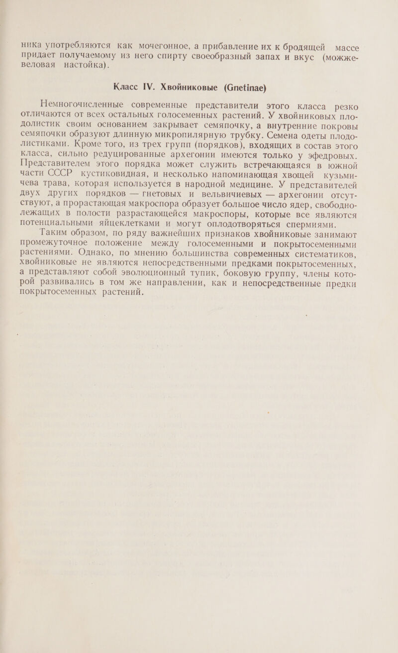 ника употребляются как мочегонное, а прибавление их к бродящей массе придает получаемому из него спирту своеобразный запах и вкус (можже- веловая настойка). Класс ГУ. Хвойниковые (Спе#пае) Немногочисленные современные представители этого класса резко отличаются от всех остальных голосеменных растений. У хвойниковых пло- долистик своим основанием закрывает семяпочку, а внутренние покровы семяпочки образуют длинную микропилярную трубку. Семена одеты плодо- листиками. Кроме того, из трех групп (порядков), входящих в состав этого класса, сильно редуцированные архегонии имеются только у эфедровых. Представителем этого порядка может служить встречающаяся в южной части СССР кустиковидная, и несколько напоминающая хвощей кузьми- чева трава, которая используется в народной медицине. У представителей двух других порядков — гнетовых и вельвичиевых — архегонии отсут- ствуют, а прорастающая макроспора образует большое число ядер, свободно- лежащих в полости разрастающейся макроспоры, которые все являются потенциальными яйцеклетками и могут оплодотворяться спермиями. Таким образом, по ряду важнейших признаков хвойниковые занимают промежуточное положение между голосеменными и покрытосеменными растениями. Однако, по мнению большинства современных систематиков, хвойниковые не являются непосредственными предками покрытосеменных, а представляют собой эволюционный тупик, боковую группу, члены кото- рой развивались в том же направлении, как и непосредственные предки покрытосеменных растений.