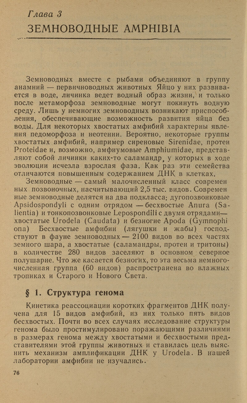 Глава 3 ЗЕМНОВОДНЫЕ AMPHIBIA Земноводных вместе с рыбами объединяют в группу анамний — первичноводных животных Яйцо у них развива ется в воде, личинка ведет водный образ жизни, и только после метаморфоза земноводные могут покинуть водную среду. Лишь у немногих земноводных возникают приспособ ления, обеспечивающие возможность развития яйца без воды. Для некоторых хвостатых амфибий характерны явле ния педоморфоза и неотении. Вероятно, некоторые группы хвостатых амфибий, например сиреновые Sirenidae, протеи Proteidae и, возможно, амфиумовые Amphiumidae, представ ляют собой личинки каких-то саламандру у которых в ходе эволюции исчезла взрослая фаза. Как раз эти семейства отличаются повышенным содержанием ДНК в клетках. Земноводные — самый малочисленный класс современ ных позвоночных, насчитывающий 2,5 тыс. видов. Современ ные земноводные делятся на два подкласса: дугопозвонковые Apsidospondyli с одним отрядом—бесхвостые Anura (Sa lientia) и тонкопозвонковые Lepospondili с двумя отрядами— хвостатые Urodela (Caudata) и безногие Apoda (Gymnophi опа) Бесхвостые амфибии (лягушки и жабы) господ ствуют в фауне земноводных'— 2100 видов во всех частях земного шара, а хвостатые (саламандры, протеи и тритоны) в количестве 280 видов заселяют в основном северное полушарие. Что же касается безногих, то эта весьма немного численная группа (60 видов) распространена во влажных тропиках и Старого и Нового Света. § 1. Структура генома Кинетика реассоциации коротких фрагментов ДНК полу чена для 15 видов амфибий, из них только пять видов бесхвостых. Почти во всех случаях исследование структуры генома было простимулировано поражающими различиями в размерах генома между хвостатыми и бесхвостыми пред ставителями этой группы животных и ставилась цель выяс нить механизм амплификации ДНК у Urodela. В нашей лаборатории амфибии не изучались.