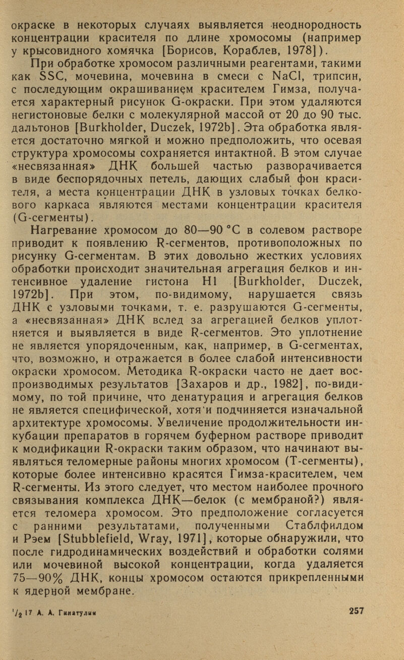 окраске в некоторых случаях выявляется неоднородность концентрации красителя по длине хромосомы (например у крысовидного хомячка [Борисов, Кораблев, 1978]). При обработке хромосом различными реагентами, такими как SSC, мочевина, мочевина в смеси с NaCl, трипсин, с последующим окрашиванием красителем Гимза, получа ется характерный рисунок G-окраски. При этом удаляются негистоновые белки с молекулярной массой от 20 до 90 тыс. дальтонов [Burkholder, Duczek, 1972Ь]. Эта обработка явля ется достаточно мягкой и можно предположить, что осевая структура хромосомы сохраняется интактной. В этом случае «несвязанная» ДНК большей частью разворачивается в виде беспорядочных петель, дающих слабый фон краси теля, а места крнцентрации ДНК в узловых точках белко вого каркаса являются местами концентрации красителя (G-сегменты). Нагревание хромосом до 80—90 °С в солевом растворе приводит к появлению R-сегментов, противоположных по рисунку G-сегментам. В этих довольно жестких условиях обработки происходит значительная агрегация белков и ин тенсивное удаление гистона HI [Burkholder, Duczek, 1972Ь]. При этом, по-видимому, нарушается связь ДНК с узловыми точками, т. е. разрушаются G-сегменты, а «несвязанная» ДНК вслед за агрегацией белков уплот няется и выявляется в виде R-сегментов. Это уплотнение не является упорядоченным, как, например, в G-сегментах, что, возможно, и отражается в более слабой интенсивности окраски хромосом. Методика R-окраски часто не дает вос производимых результатов [Захаров и др., 1982], по-види- мому, по той причине, что денатурация и агрегация белков не является специфической, хотя и подчиняется изначальной архитектуре хромосомы. Увеличение продолжительности ин кубации препаратов в горячем буферном растворе приводит к модификации R-окраски таким образом, что начинают вы являться теломерные районы многих хромосом (Т-сегменты), которые более интенсивно красятся Гимза-красителем, чем R-сегменты. Из этого следует, что местом наиболее прочного связывания комплекса ДНК—белок (с мембраной?) явля ется теломера хромосом. Это предположение согласуется с ранними результатами, полученными Стаблфилдом и Рэем [Stubblefield, Wray, 1971], которые обнаружили, что после гидродинамических воздействий и обработки солями или мочевиной высокой концентрации, когда удаляется 75—90% ДНК, концы хромосом остаются прикрепленными к ядерной мембране. '/2 I? А. А. Гииатулии 257