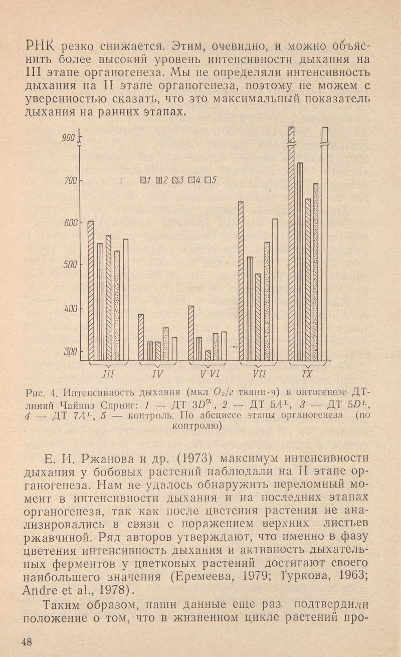 РНК резко снижаетСй. Этим, очевидно, й моЖнб объЯС^ нить более высокий уровень интенсивности дыхания на III этапе органогенеза. Мы не определяли интенсивность дыхания на II этапе органогенеза, поэтому не можем с уверенностью сказать, что это максимальный показатель дыхания на ранних этапах. Рис. 4. Интенсивность дыхания (мкл Ог/г ткани-ч) в онтогенезе ДТ- линий Чайниз Спринг; 1 — ДТ 3Z)®, 2 — ДТ 5Л^, 3 — ДТ 5Z)^, 4 — ДТ 1А^, 5 — контроль. По абсциссе этапы органогенеза (по контролю) Е. И. Ржанова и др. (1973) максимум интенсивности дыхания у бобовых растений наблюдали на II этапе ор¬ ганогенеза. Нам не удалось обнаружить переломный мо¬ мент в интенсивности дыхания и на последних этапах органогенеза, так как после цветения растения не ана¬ лизировались в связи с поражением верхних листьев ржавчиной. Ряд авторов утверждают, что именно в фазу цветения интенсивность дыхания и активность дыхатель¬ ных ферментов у цветковых растений достигают своего наибольшего значения (Еремеева, 1979; Гуркова, 1963; Andre et al., 1978). Таким образом, наши данные еще раз подтвердили положение о том, что в жизненном цикле растений про- 48