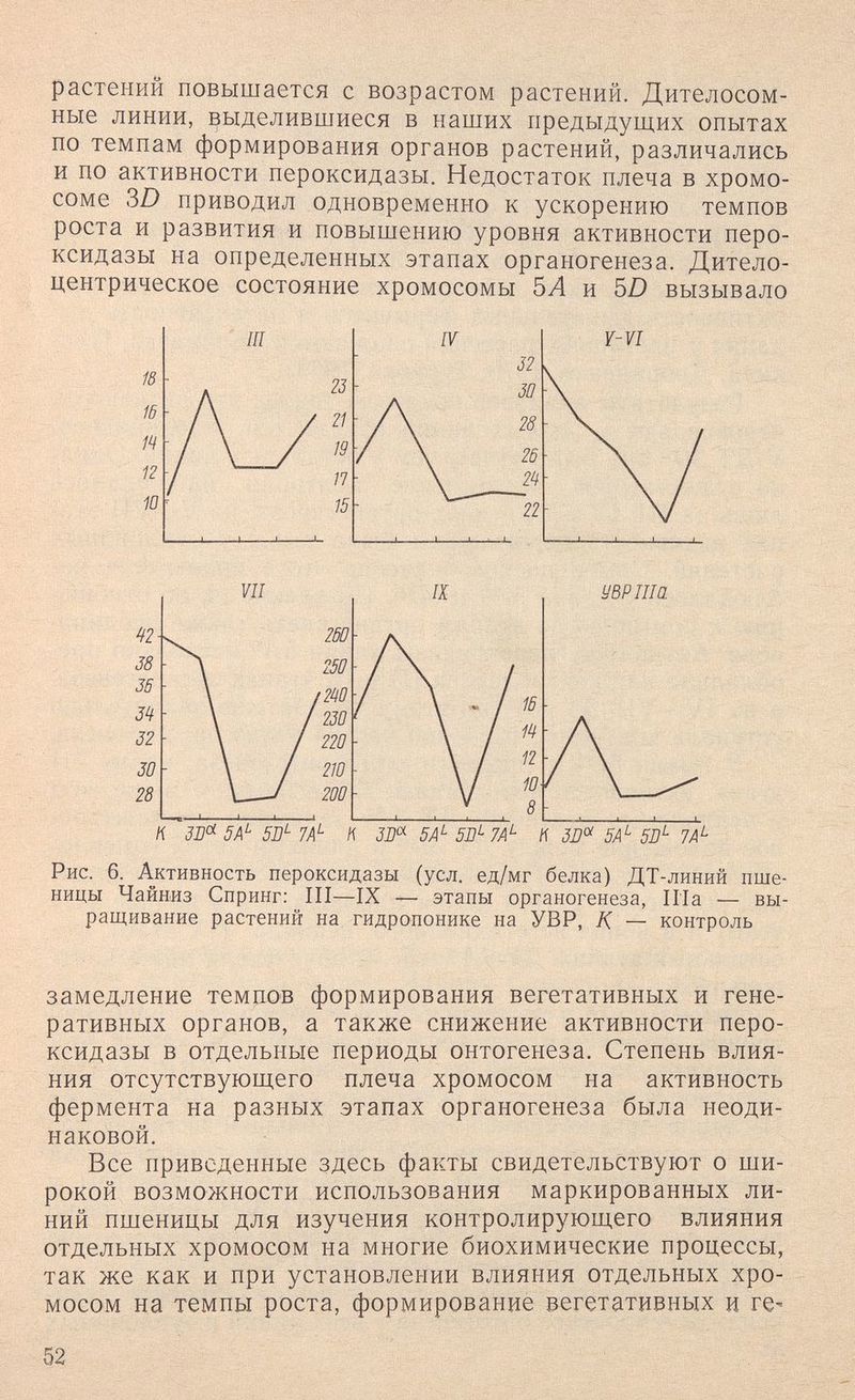 растений повышается с возрастом растений. Дителосом- ные линии, выделившиеся в наших предыдущих опытах по темпам формирования органов растений, различались и по активности пероксидазы. Недостаток плеча в хромо¬ соме 3Z) приводил одновременно к ускорению темпов роста и развития и повышению уровня активности перо¬ ксидазы на определенных этапах органогенеза. Дитело- центрическое состояние хромосомы SA и 5Z) вызывало ЗЛ'^ 5А^ 5В^ 7А m 5А^ 5П^ 7А^ Рис. 6. Активность пероксидазы (усл. ед/мг белка) ДТ-линий пше¬ ницы Чайниз Спринг: III—IX — этапы органогенеза, Illa — вы¬ ращивание растений на гидропонике на УВР, /С — контроль замедление темпов формирования вегетативных и гене¬ ративных органов, а также снижение активности перо¬ ксидазы в отдельные периоды онтогенеза. Степень влия¬ ния отсутствующего плеча хромосом на активность фермента на разных этапах органогенеза была неоди¬ наковой. Все приведенные здесь факты свидетельствуют о ши¬ рокой возможности использования маркированных ли¬ ний пшеницы для изучения контролирующего влияния отдельных хромосом на многие биохимические процессы, так же как и при установлении влияния отдельных хро¬ мосом на темпы роста, формирование вегетативных и ге- 52