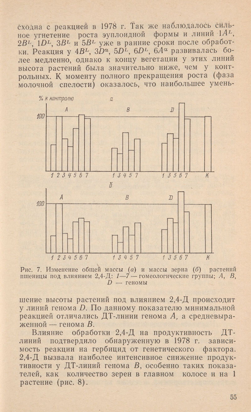 сходна с реакцией в 1Ô78 г. Так же наблЮДйлоС^э сйль- ное угнетение роста эуплоидной формы и линий 1Л^, 2В^, ìD^, ЗВ^ и уже в ранние сроки после обработ¬ ки. Реакция у 4В^, 3D^, 5D^, 6Z)^, бЛ®' развивалась бо¬ лее медленно, однако к концу вегетации у этих линий высота растений была значительно ниже, чем у конт¬ рольных. К моменту полного прекращения роста (фаза молочной спелости) оказалось, что наибольшее умень- % н контролю а i 2 3 Ч 5 ß 7 13 4 5 7 1 3 5 6 7 H Рис. 7. Изменение общей массы (а) и массы зерна (б) растений пшеницы под влиянием 2,4-Д: 1—7 — гомеологические группы; А, В, D — геномы шение высоты растений под влиянием 2,4-Д происходит у линий генома D. По данному показателю минимальной реакцией отличались ДТ-линии генома А, а средневыра- женной — генома В. Влияние обработки 2,4-Д на продуктивность ДТ- линий подтвердило обнаруженную в 1978 г. зависи¬ мость реакции на гербицид от генетического фактора. 2,4-Д вызвала наиболее интенсивное снижение продук¬ тивности у ДТ-линий генома В, особенно таких показа¬ телей, как количество зерен в главном колосе и на 1 растение (рис. 8). 55