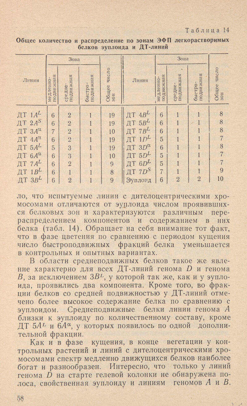 Таблица 14 Общее количество и распределение по зонам ЭФП легкорастворимых белков эуплоида и ДТ-линий ло, что испытуемые линии с дителоцентрическими хро¬ мосомами отличаются от эуплоида числом проявивших¬ ся белковых зон и характеризуются различным пере¬ распределением компонентов и содержанием в них белка (табл. 14). Обращает на себя внимание тот факт, что в фазе цветения по сравнению с периодом кущения число быстроподвижных фракций белка уменьшается в контрольных и опытных вариантах. В области среднеподвижных белков такое же явле¬ ние характерно для всех ДТ-линий генома D и генома 5, за исключением òB^, у которой так же, как и у эупло¬ ида, проявились два компонента. Кроме того, во фрак¬ ции белков со средней подвижностью у ДТ-линий отме¬ чено более высокое содержание белка по сравнению с эуплоидом. Среднеподвижные белки линии генома А близки к эуплоиду по количественному составу, кроме ДТ 5Л^ и бА'^, у которых появилось по одной дополни¬ тельной фракции. Как и в фазе кущения, в конце вегетации у кон¬ трольных растений и линий с дителоцентрическими хро¬ мосомами спектр' медленно движущихся белков наиболее богат и разнообразен. Интересно, что только у линий генома D на старте гелевой колонки не обнаружена по¬ лоса, свойственная эуплоиду и линиям геномов А я В. 58