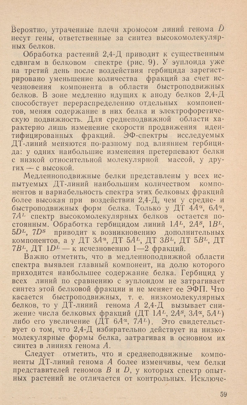 Вероятно, утраченные плечи хроМоСоМ линий генома и несут гены, ответственные за синтез высокомолекуляр¬ ных белков. Обработка растений 2,4-Д приводит к существенным сдвигам в белковом спектре (рис. 9). У зуплоида уже на третий день после воздействия гербицида зарегист¬ рировано уменьшение количества фракций за счет ис¬ чезновения компонента в области быстроподвижных белков. В зоне медленно идущих к аноду белков 2,4-Д способствует перераспределению отдельных компонен¬ тов, меняя содержание в них белка и электрофоретиче- скую подвижность. Для среднеподвижной области ха¬ рактерно лишь изменение скорости продвижения иден¬ тифицированных фракций. ЭФ-спектры исследуемых ДТ-линий меняются по-разному под влиянием гербици¬ да: у одних наибольшие изменения претерпевают белки с низкой относительной молекулярной массой, у дру¬ гих с высокой. Медленноподвижные белки представлены у всех ис¬ пытуемых ДТ-линий наибольшим количеством компо¬ нентов и вариабельность спектра этих белковых фракций более высокая при воздействии 2,4-Д, чем у средне- и быстроподвижных форм белка. Только у ДТ 4^4«-, бЛ^, 7Л^ спектр высокомолекулярных белков остается по¬ стоянным. Обработка гербицидом линий 1Л^, 2Л®, \В^^, 5/)^, 7D® приводит к возникновению дополнительных компонентов, а у ДТ ЗЛ« ДТ 5Л^, ДТ ДТ ДТ ДТ — к исчезновению 1—2 фракций. Важно отметить, что в медленноподвижной области спектра выявлен главный компонент, на долю которого приходится наибольшее содержание белка. Гербицид у всех линий по сравнению с эуплоидом не затрагивает синтез этой белковой фракции и не меняет ее ЭФП. Что касается быстроподвижных, т. е. низкомолекулярных белков, то у ДТ-линий генома Л 2,4-Д вызывает сни¬ жение числа белковых фракций (ДТ 1Л^, 2Л®, 5Л^) либо его увеличение (ДТ 7Л^). Это свидетельст¬ вует о том, что 2,4-Д избирательно действует на низко¬ молекулярные формы белка, затрагивая в основном их синтез в линиях генома Л. Следует отметить, что и среднеподвижные компо¬ ненты ДТ-линий генома Л более изменчивы, чем белки представителей геномов В и D, у которых спектр опыт¬ ных растений не отличается от контрольных. Исключе- 59