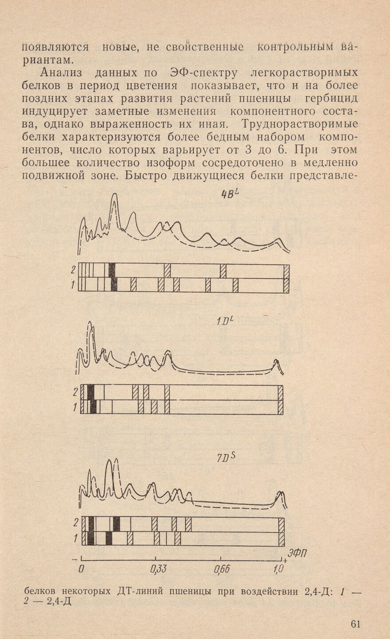 Появляются новые, не свойственные контрольным Êâ- риантам. Анализ данных по ЭФ-снектру легкорастворимых белков в период цветения показывает, что и на более поздних этапах развития растений пшеницы гербицид индуцирует заметные изменения компонентного соста¬ ва, однако выраженность их иная. Труднорастворимые белки характеризуются более бедным набором компо¬ нентов, число которых варьирует от 3 до 6. При ЭТОМ большее количество изоформ сосредоточено в медленно подвижной зоне. Быстро движущиеся белки представле- i л 7Д- о ом 066 -J+ дФП iß белков некоторых ДТ-линий пшеницы при воздействии 2,4-Д: 1 2 - 2,4-Д 61