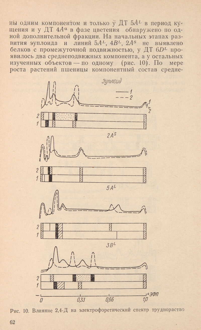 НУ одним компонентом и только у ДТ 5Л^ в период ку^ щения и у ДТ 4Ла в фазе цветения обнаружено по од¬ ной дополнительной фракции. На начальных этапах раз¬ вития эуплоида и линий 4В^, 2А^ не выявлено белков с промежуточной подвижностью, у ДТ 6D^ про¬ явилось два среднеподвижных компонента, а у остальных изученных объектов — по одному (рис. 10). По мере роста растений пшеницы компонентный состав средне- Зуплоид 2 J4[ 2 2А^ ш 5А^ ì+дФп О 0,33 0,66 1,0 Рис, 10. Влияние 2,4-Д на электрофоретический спектр труднораство 62