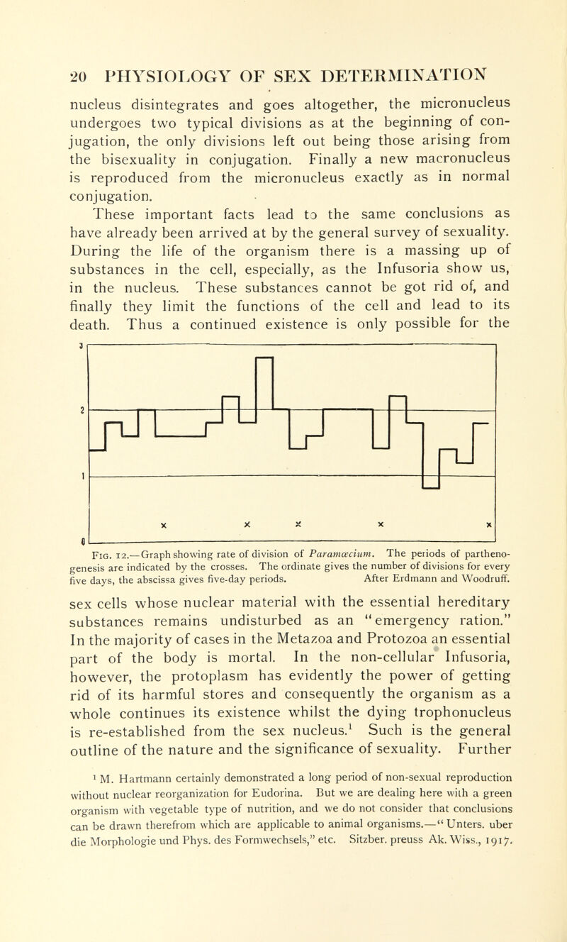 20 PHYSIOI.OGY OF SEX DETERMINATION nucleus disintegrates and goes altogether, the micronucleus undergoes two typical divisions as at the beginning of con¬ jugation, the only divisions left out being those arising from the bisexuality in conjugation. Finally a new macronucleus is reproduced from the micronucleus exactly as in normal conjugation. These important facts lead to the same conclusions as have already been arrived at by the general survey of sexuality. During the life of the organism there is a massing up of substances in the cell, especially, as the Infusoria show us, in the nucleus. These substances cannot be got rid of, and finally they limit the functions of the cell and lead to its death. Thus a continued existence is only possible for the Fig. 12.—Graph showing rate of division of Paramœcium. The periods of partheno¬ genesis are indicated by the crosses. The ordinate gives the number of divisions for every five days, the abscissa gives five-day periods. After Erdmann and Woodruff. sex cells whose nuclear material with the essential hereditary substances remains undisturbed as an emergency ration. In the majority of cases in the Metazoa and Protozoa an essential part of the body is mortal. In the non-cellular Infusoria, however, the protoplasm has evidently the power of getting rid of its harmful stores and consequently the organism as a whole continues its existence whilst the dying trophonucleus is re-established from the sex nucleus.^ Such is the general outline of the nature and the significance of sexuality. Further ^ M. Hartmann certainly demonstrated a long period of non-sexual reproduction without nuclear reorganization for Eudorina. But we are dealing here with a green organism with vegetable type of nutrition, and we do not consider that conclusions can be drawn therefrom which are applicable to animal organisms.— Unters, über die Morphologie und Phys. des Formwechsels, etc. Sitzber. preuss Ak. Wiss., 1917.