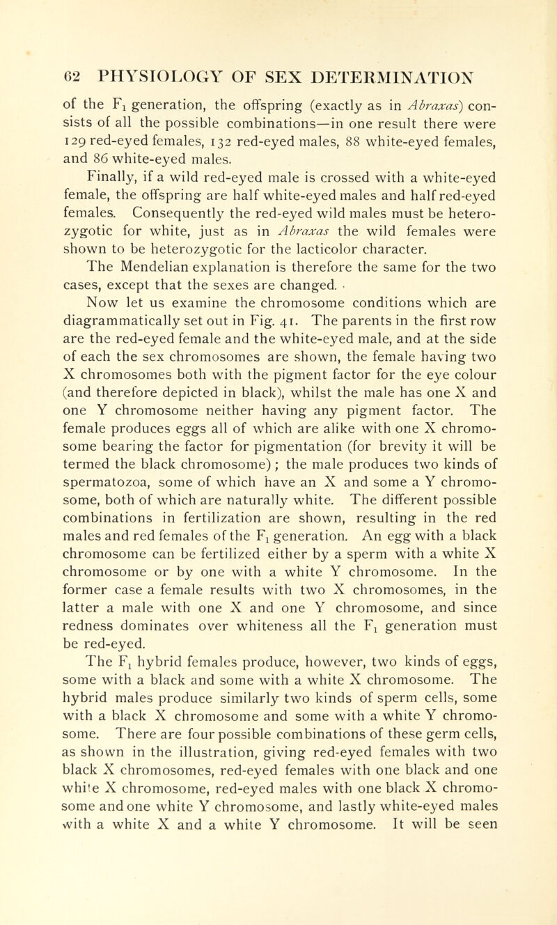 62 PHYSIOLOGY OF SEX DETERMINATION of the Fl generation, the offspring (exactly as in Abraxas) con¬ sists of all the possible combinations—in one result there were 129 red-eyed females, 132 red-eyed males, 88 white-eyed females, and 86 white-eyed males. Finally, if a wild red-eyed male is crossed with a white-eyed female, the offspring are half white-eyed males and half red-eyed females. Consequently the red-eyed wild males must be hetero- zygotic for white, just as in Abraxas the wild females were shown to be heterozygotic for the lacticolor character. The Mendelian explanation is therefore the same for the two cases, except that the sexes are changed. • Now let us examine the chromosome conditions which are diagrammatically set out in Fig. 41. The parents in the first row are the red-eyed female and the white-eyed male, and at the side of each the sex chromosomes are shown, the female having two X chromosomes both with the pigment factor for the eye colour (and therefore depicted in black), whilst the male has one X and one Y chromosome neither having any pigment factor. The female produces eggs all of which are alike with one X chromo¬ some bearing the factor for pigmentation (for brevity it will be termed the black chromosome) ; the male produces two kinds of spermatozoa, some of which have an X and some a Y chromo¬ some, both of which are naturally white. The different possible combinations in fertilization are shown, resulting in the red males and red females of the F^ generation. An egg with a black chromosome can be fertilized either by a sperm with a white X chromosome or by one with a white Y chromosome. In the former case a female results with two X chromosomes, in the latter a male with one X and one Y chromosome, and since redness dominates over whiteness all the Fi generation must be red-eyed. The Fl hybrid females produce, however, two kinds of eggs, some with a black and some with a white X chromosome. The hybrid males produce similarly two kinds of sperm cells, some with a black X chromosome and some with a white Y chromo¬ some. There are four possible combinations of these germ cells, as shown in the illustration, giving red-eyed females with two black X chromosomes, red-eyed females with one black and one white X chromosome, red-eyed males with one black X chromo¬ some and one white Y chromosome, and lastly white-eyed males with a white X and a white Y chromosome. It will be seen