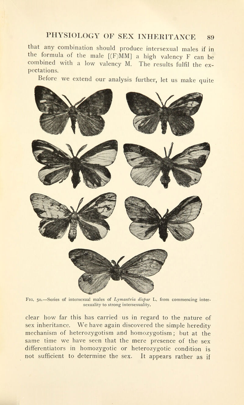 rilVSIOLOCxY OF SEX INHERITANCE 89 that any combination should produce intersexual males if in the formula of the male [(F)MM] a high valency F can be combined with a low valency M. The results fulfil the ex¬ pectations. Before we extend our analysis further, let us make quite Fig. 50.—Series of intersexual males of Lymantria dispar L. from commencing inter- sexuality to strong intersexuality. clear how far this has carried us in regard to the nature of sex inheritance. We have again discovered the simple heredity mechanism of heterozygotism and homozygotism ; but at the same time we have seen that the mere presence of the sex differentiators in homozygotic or heterozygotic condition is not sufficient to determine the sex. It appears rather as if