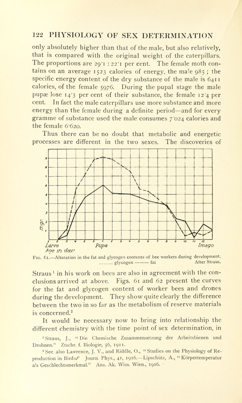 122 PHYSIOLOGY OF SEX DETERMINATION only absolutely higher than that of the male, but also relatively, that is compared with the original weight of the caterpillars. The proportions are 2g'i : 22'i per cent. The female moth con¬ tains on an average 1523 calories of energy, the male 985 ; the specific energy content of the dry substance of the male is 6411 calories, of the female 5976. During the pupal stage the male pupae lose i4'3 percent of their substance, the female 12 4 per cent. In fact the male caterpillars use more substance and more energy than the female during a definite period—and for every gramme of substance used the male consumes 7*024 calories and the female б'б2о. Thus there can be no doubt that metabolic and energetic processes are different in the two sexes. The discoveries of 9 5 f 6 5 ¥ J ]23*éS6l2^**56 7 a 9 to tt Г2 Ldrvd Pupa Imago fiae in day^' Fig. 61.—Alteration in the fat and glycogen contents of bee workers during development.  glycogen fat After Straus. Straus^ in his work on bees are also in agreement with the con¬ clusions arrived at above. Figs. 61 and 62 present the curves for the fat and glycogen content of worker bees and drones during the development. They show quite clearly the difference between the two in so far as the metabolism of reserve materials is concerned.^ It would be necessary now to bring into relationship the different chemistry with the time point of sex determination, in ^ Straus, J., Die Chemische Zusammenselzung der Arbeitsbienen und Drohnen. Ztschr. f. Biologie, 56, 1911. ^ See also Lawrence, J. V., and Riddle, О.,  Studies on the Physiology of Re¬ production in Birdsi Journ. Phys., 41, 1916.—Lipschiitz, A., Körpertemperatur als Geschlechtsmerkmal. Anz. Ak. Wiss. Wien., 1916.