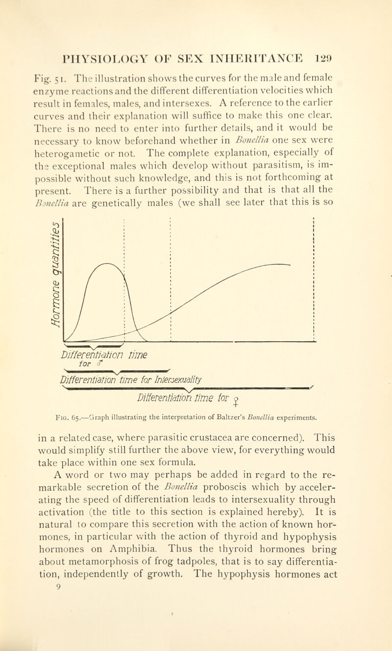 rnVSlOÍ.OCrV OF SEX INIIEIMTANCE 120 Fig. 51. The illustration shows the curves for the male and female enzyme reactions and the different differentiation velocities which result in females, males, and intersexes. A reference to the earlier curves and their explanation will suffice to make this one clear. There is no need to enter into further details, and it would be necessary to know beforehand whether in Boncllm one sex were heterogametic or not. The complete explanation, especially of the exceptional males which develop without parasitism, is im¬ possible without such knowledge, and this is not forthcoming at present. There is a further possibility and that is that all the Bonellia are genetically males (we shall see later that this is so Differeniiaîion time for Inlerôexuality у Differentiâîion lime for ^ Fig. б5.'—Graph illustrating the interpretation of Baltzer's Bonellia experiments. in a related case, where parasitic Crustacea are concerned). This would simplify still further the above view, for everything would take place within one sex formula. A word or two may perhaps be added in regard to the re¬ markable secretion of the Bonellia proboscis which by acceler¬ ating the speed of differentiation leads to intersexuality through activation (the title to this section is explained hereby). It is natural to compare this secretion with the action of known hor¬ mones, in particular Vv^ith the action of thyroid and hypophysis hormones on Amphibia. Thus the thyroid hormones bring about metamorphosis of frog tadpoles, that is to say differentia¬ tion, independently of growth. The hypophysis hormones act 9 »