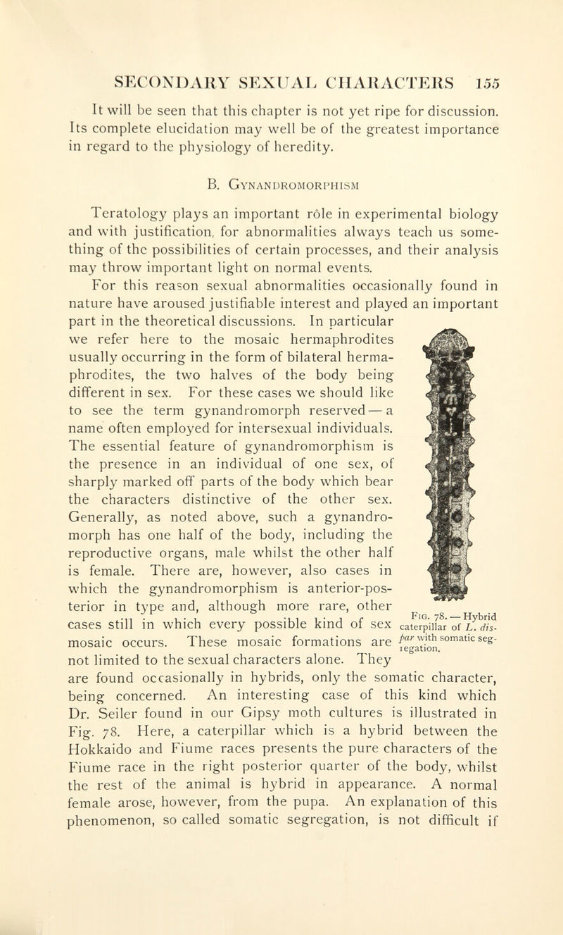 SKCONDAliY SEXUAL CIIAliACTERS 155 It will be seen that this chapter is not yet ripe for discussion. Its complete elucidation may well be of the greatest importance in regard to the physiology of heredity. B. 'NANDROMORI'HISM Teratology plays an important rôle in experimental biology and with justification, for abnormalities always teach us some¬ thing of the possibilities of certain processes, and their analysis may throw important light on normal events. For this reason sexual abnormalities occasionally found in nature have aroused justifiable interest and played an important part in the theoretical discussions. In particular we refer here to the mosaic hermaphrodites usually occurring in the form of bilateral herma¬ phrodites, the two halves of the body being different in sex. For these cases we should like to see the term gynandromorph reserved—a name often employed for intersexual individuals. The essential feature of gynandromorphism is the presence in an individual of one sex, of sharply marked off parts of the body which bear the characters distinctive of the other sex. Generally, as noted above, such a gynandro¬ morph has one half of the body, including the reproductive organs, male whilst the other half is female. There are, however, also cases in which the gynandromorphism is anterior-pos¬ terior in type and, although more rare, other cases still in which every possible kind of sex catVrpiikr of mosaic occurs. These mosaic formations are fegaT/on not limited to the sexual characters alone. They are found occasionally in hybrids, only the somatic character, being concerned. An interesting case of this kind which Dr. Seiler found in our Gipsy moth cultures is illustrated in Fig. 78. Here, a caterpillar which is a hybrid between the Hokkaido and Fiume races presents the pure characters of the Fiume race in the right posterior quarter of the body, whilst the rest of the animal is hybrid in appearance. A normal female arose, however, from the pupa. An explanation of this phenomenon, so called somatic segregation, is not difficult if