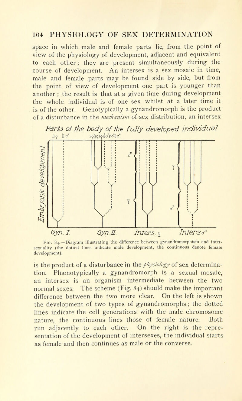 164 PHYSIOLOGY OF SEX Dí^TEIlMINATION space in which male and female parts lie, from the point of view of the physiology of development, adjacent and equivalent to each other; they are present simultaneously during the course of development. An intersex is a sex mosaic in time, male and female parts may be found side by side, but from the point of view of development one part is younger than another ; the result is that at a given time during development the whole individual is of one sex whilst at a later time it is of the other. Genotypically a gynandromorph is the product of a disturbance in the mechanism of sex distribution, an intersex Pàrfô of the body of the fully developed individuäl Gyn. Z övn. Л- Inîers. I Iniers Fig. 84.—Diagram illustrating the difference between gynandromorphism and inter- sexuality (the dotted lines indicate male development, the continuous denote female development). is the product of a disturbance in the physiology of sex determina¬ tion. Phaenotypically a gynandromorph is a sexual mosaic, an intersex is an organism intermediate between the two normal sexes. The scheme (Fig. 84) should make the important difference between the two more clear. On the left is shown the development of two types of gynandromorphs ; the dotted lines indicate the cell generations with the male chromosome nature, the continuous lines those of female nature. Both run adjacently to each other. On the right is the repre¬ sentation of the development of intersexes, the individual starts as female and then continues as male or the converse.